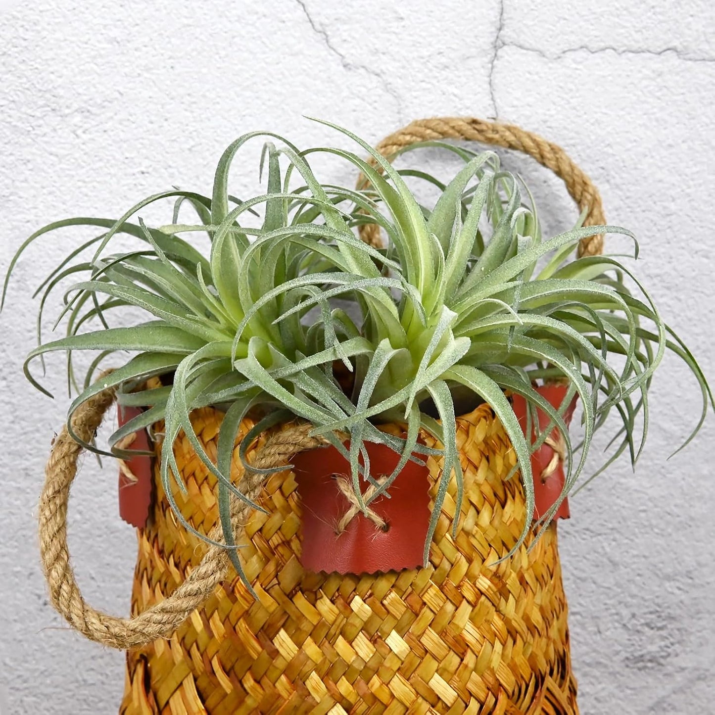 Fake Artificial Tillandsia Air Plants / Green / Set of 4