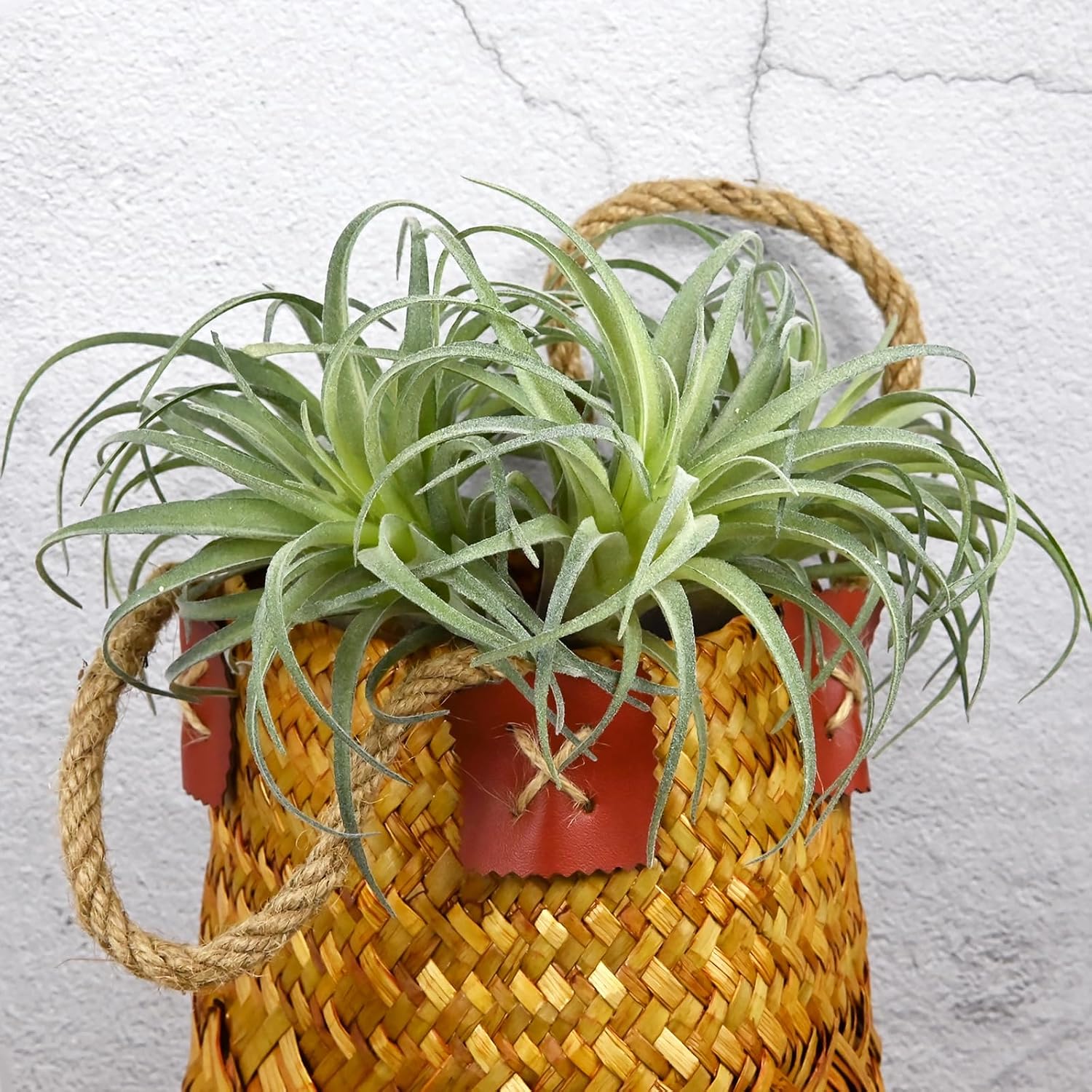 Fake Artificial Tillandsia Air Plants / Green / Set of 4