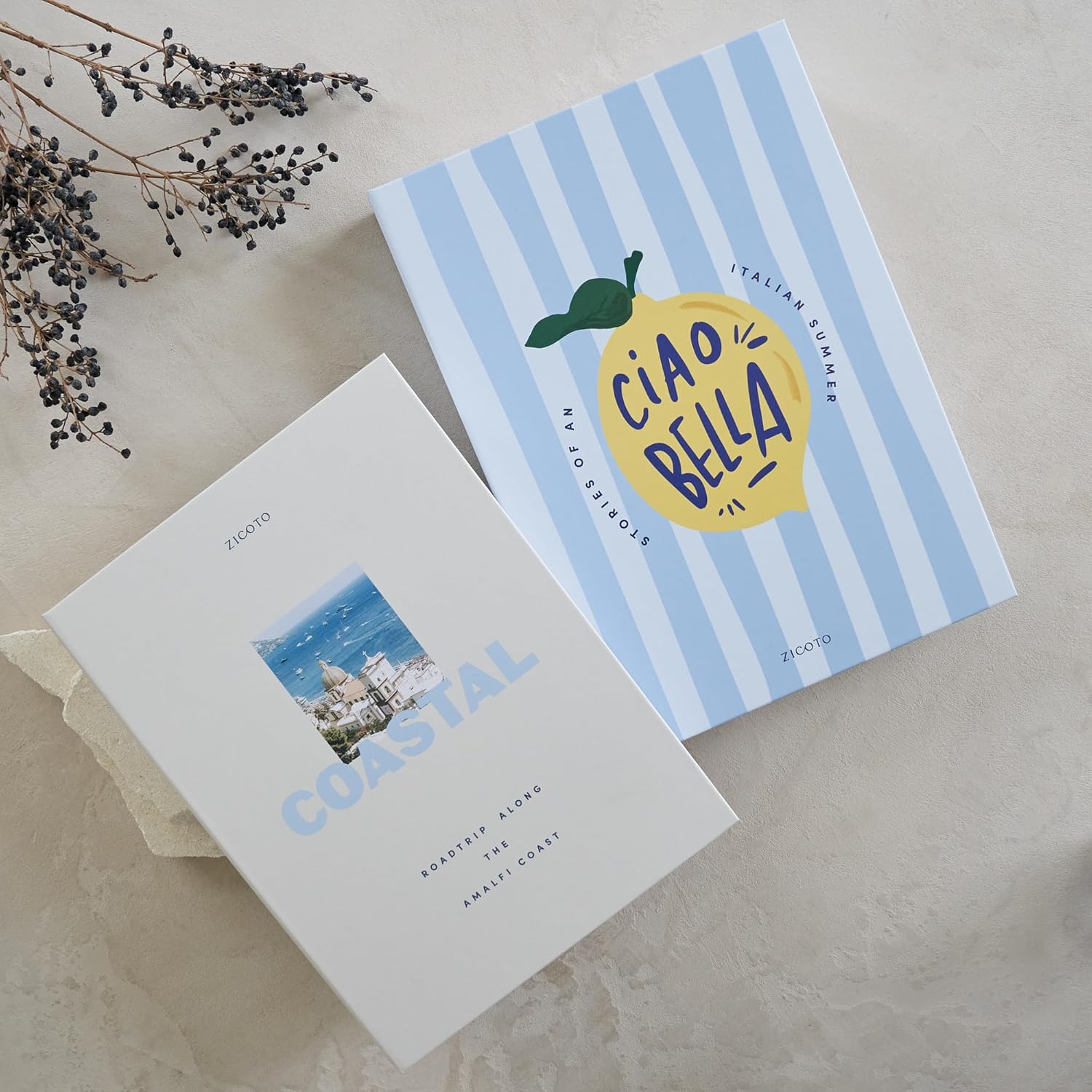 Decorative Books / Coastal Blue & Cream / Set of 2