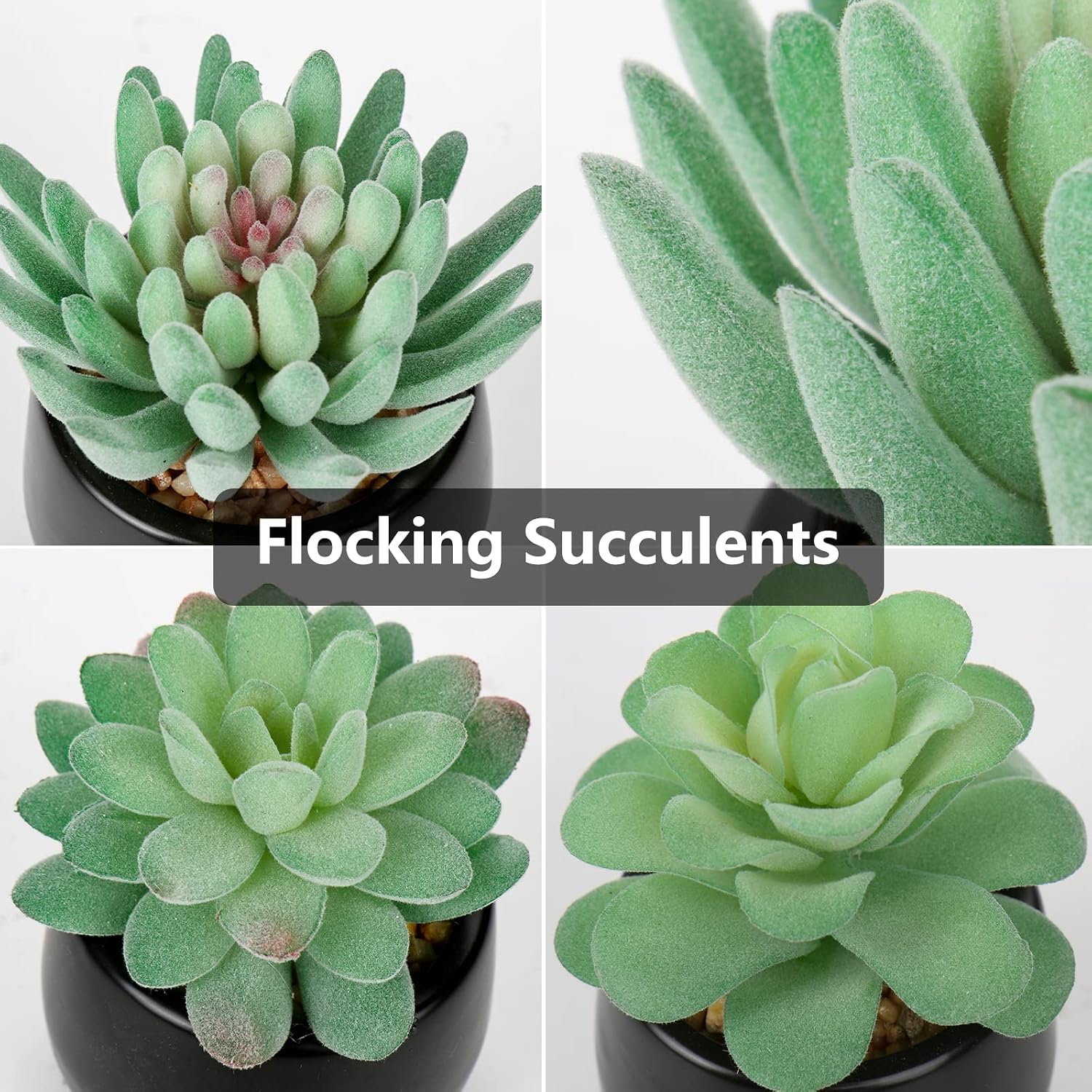 Artificial Succulents Fake Plants Mini Succulents Potted in Ceramic / Type / Black / Set of 3