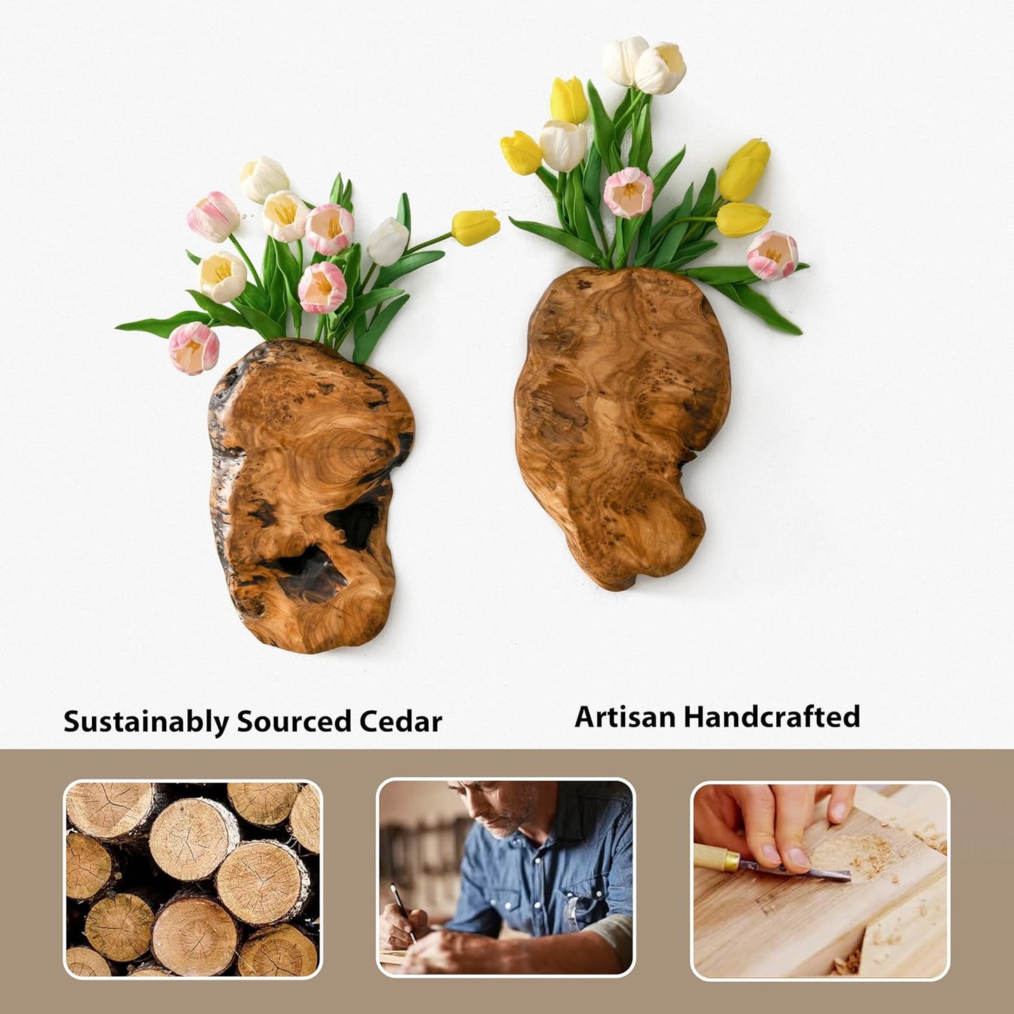 Cedar Wood Live Edge Wall Vases / Natural / Set of 2