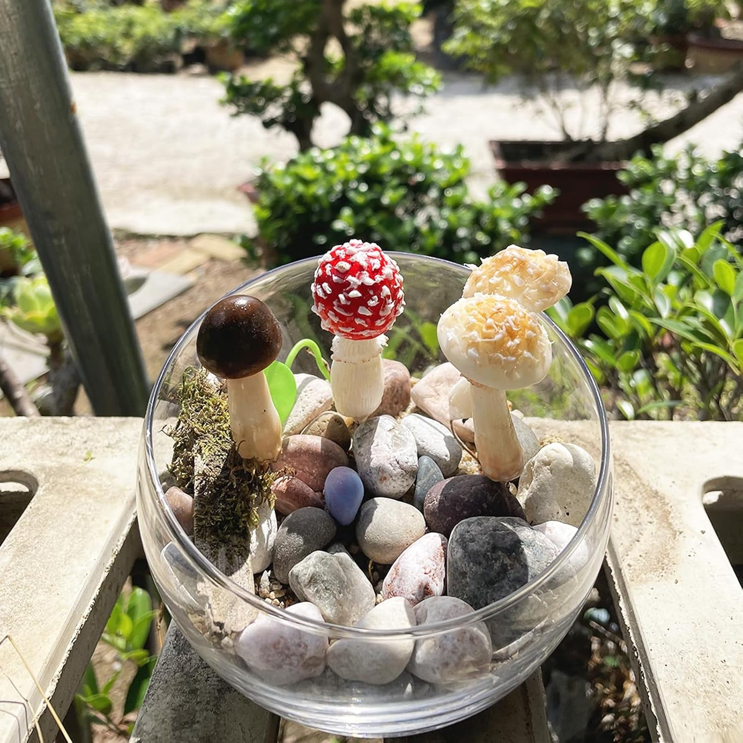 DIY Mini Mushrooms for Terrariums Potted Plant Holiday / Set of 5