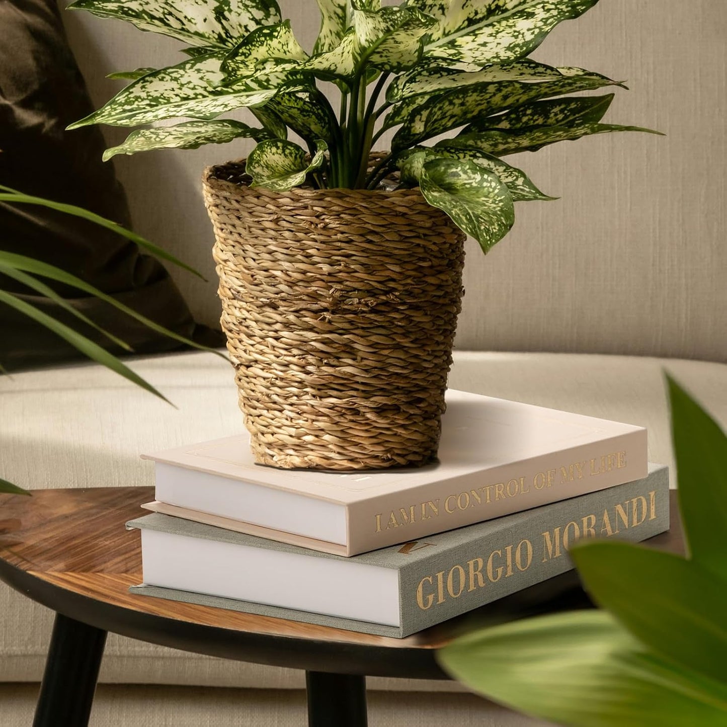 Fake/Faux Book Box / Sage-beige / Set of 2