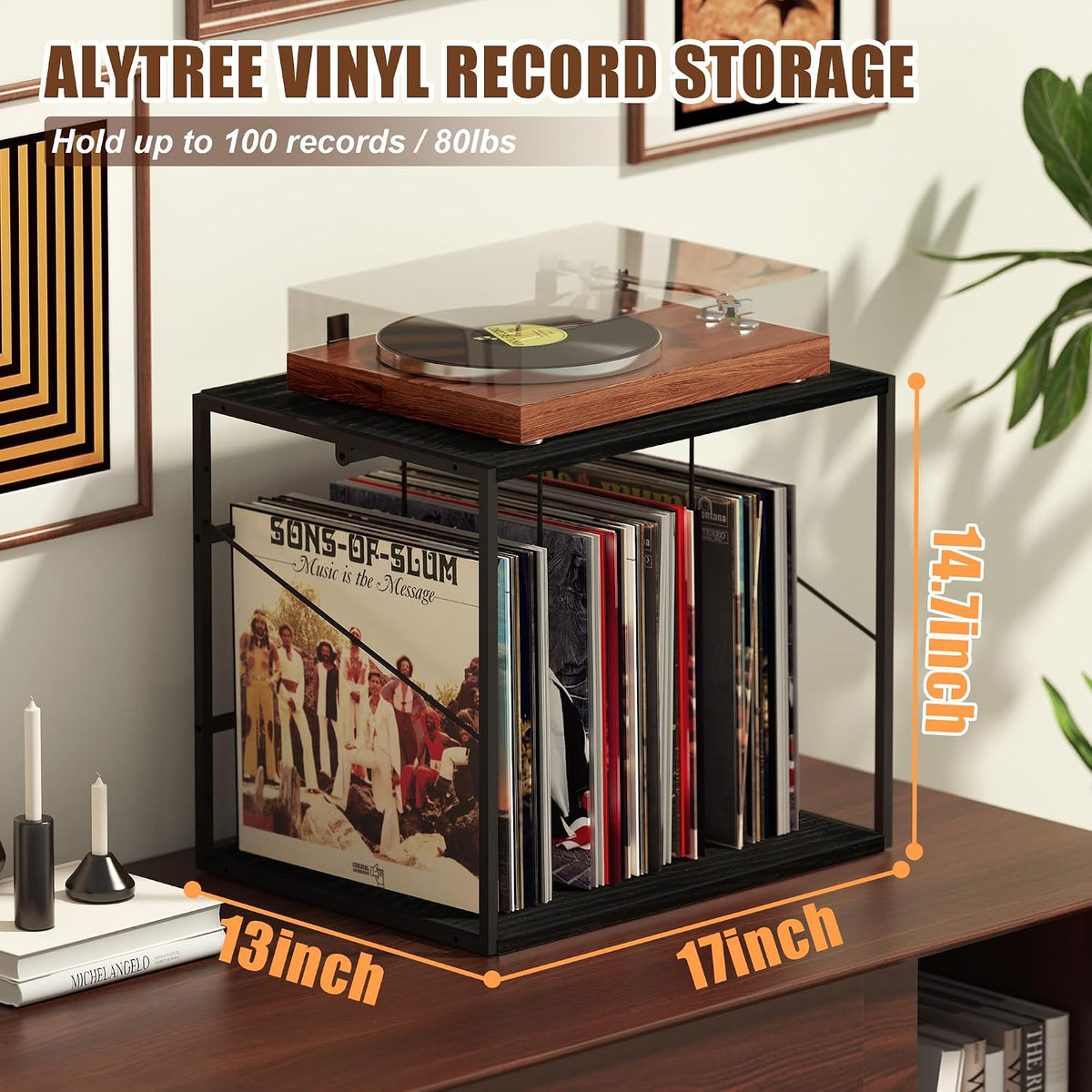 Vinyl Record Storage Holder for 80-100LPs, Vinyl Record Stand Wall Mount with Movable Divider, Solid Record Display