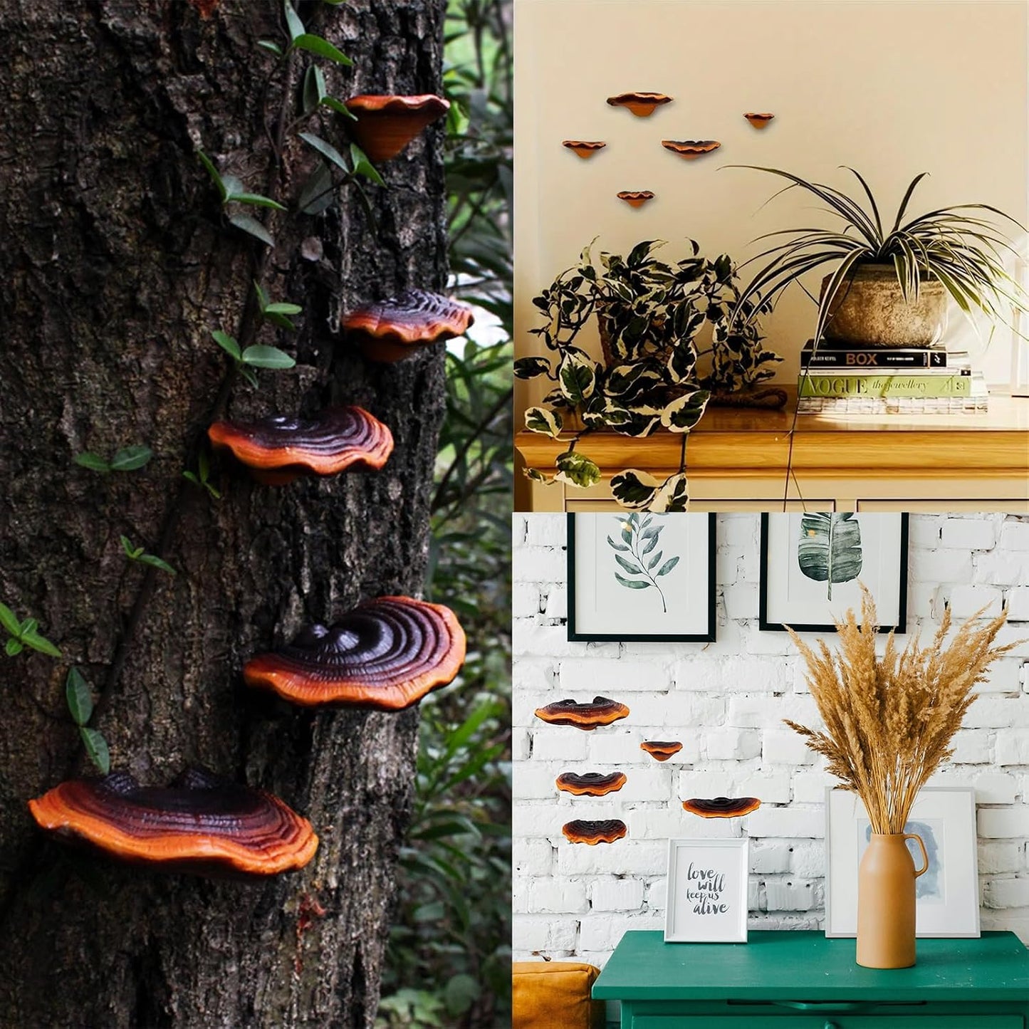 Small Floating Shelves / Set of 5