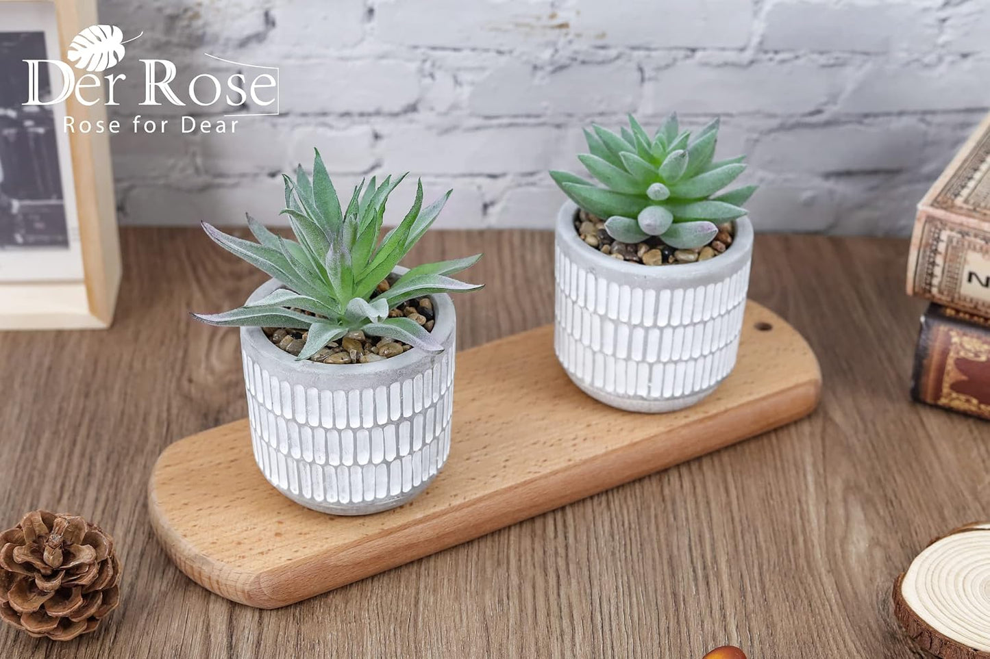 Succulents Plants Artificial Fake Cactus Plants / Set of 2