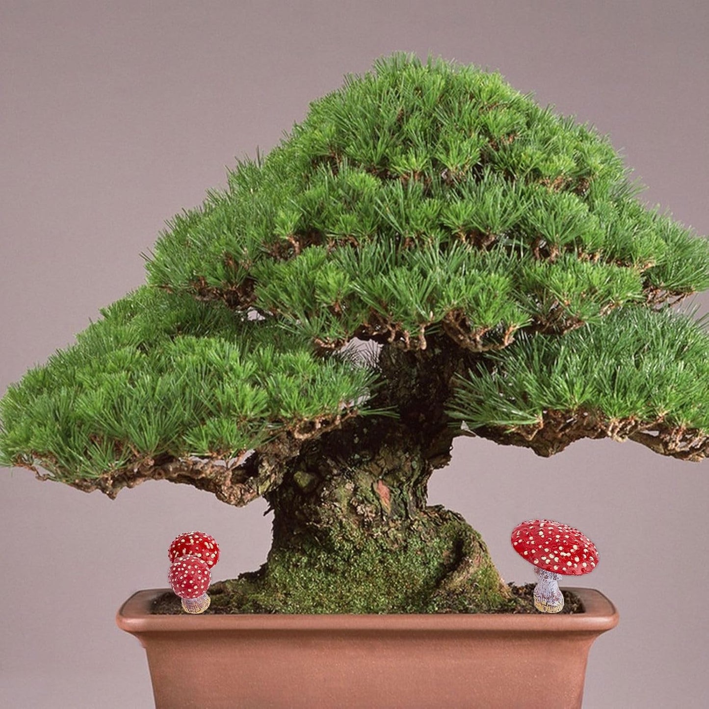 Garden Mushroom Decor Glowing Mushrooms Statue / 53.5 x 25.5 / 37~ ~55mm / Red / Set of 3