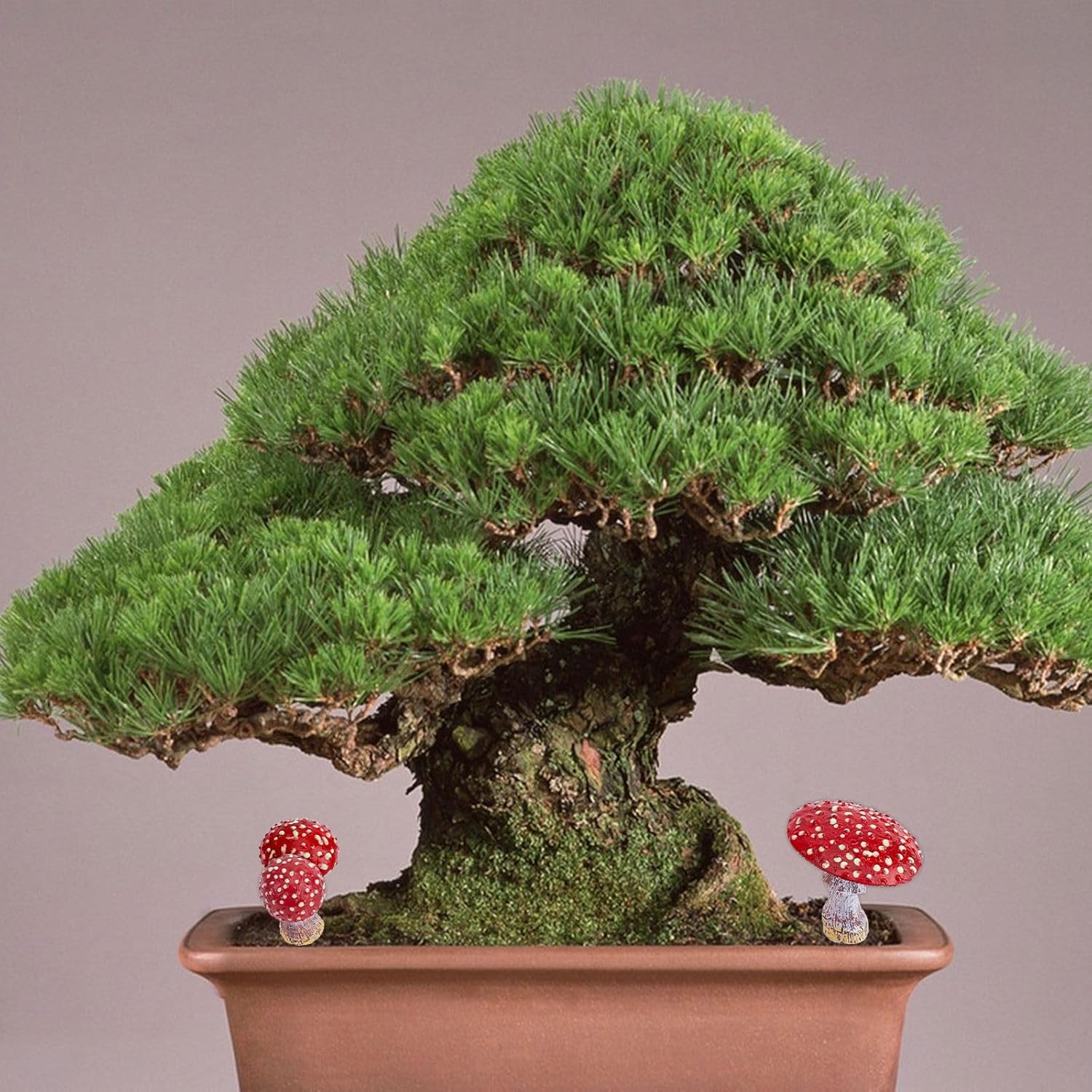 Garden Mushroom Decor Glowing Mushrooms Statue / 53.5 x 25.5 / 37~ ~55mm / Red / Set of 3