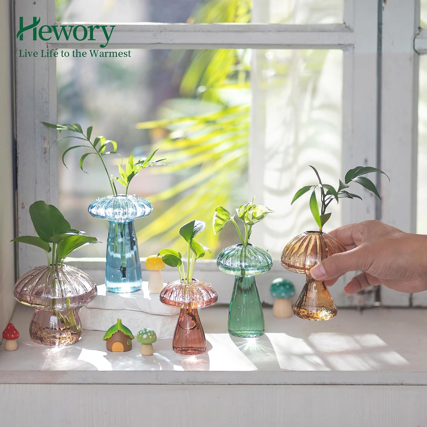 Unique Propagation Jars Glass Planter / Multi-color / Set of 5