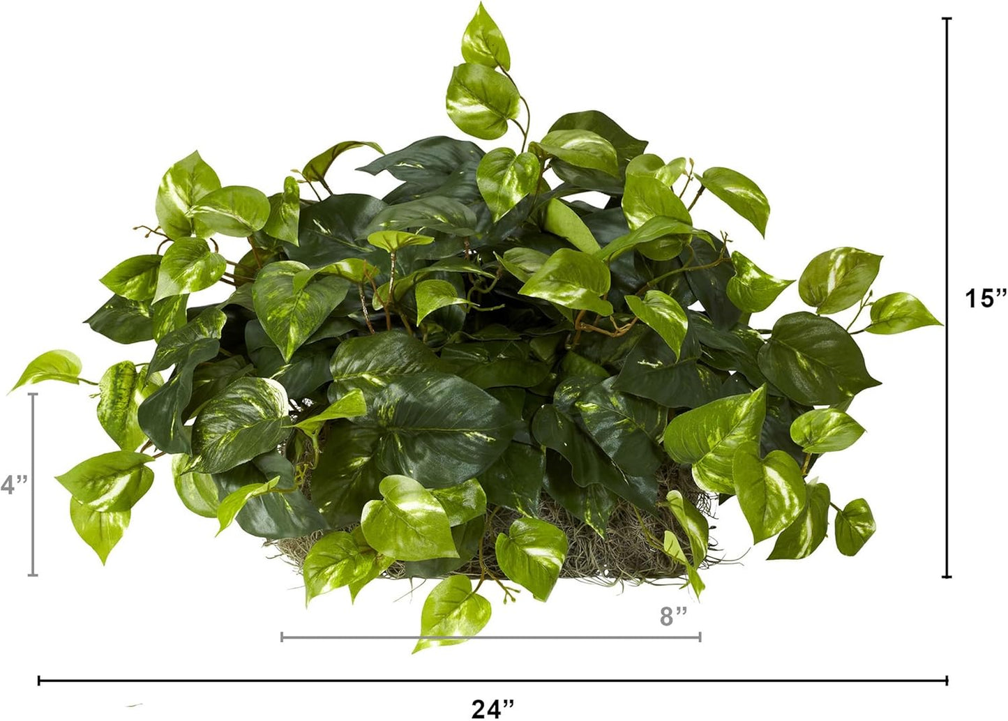. Pothos Ledge Plant Silk Plant / Green / 15 Inch