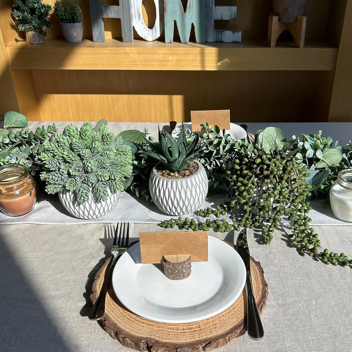 Small Faux Potted Plants Artificial Aloe Hops String of Pearls Succulents Plants / Gray / Set of 3