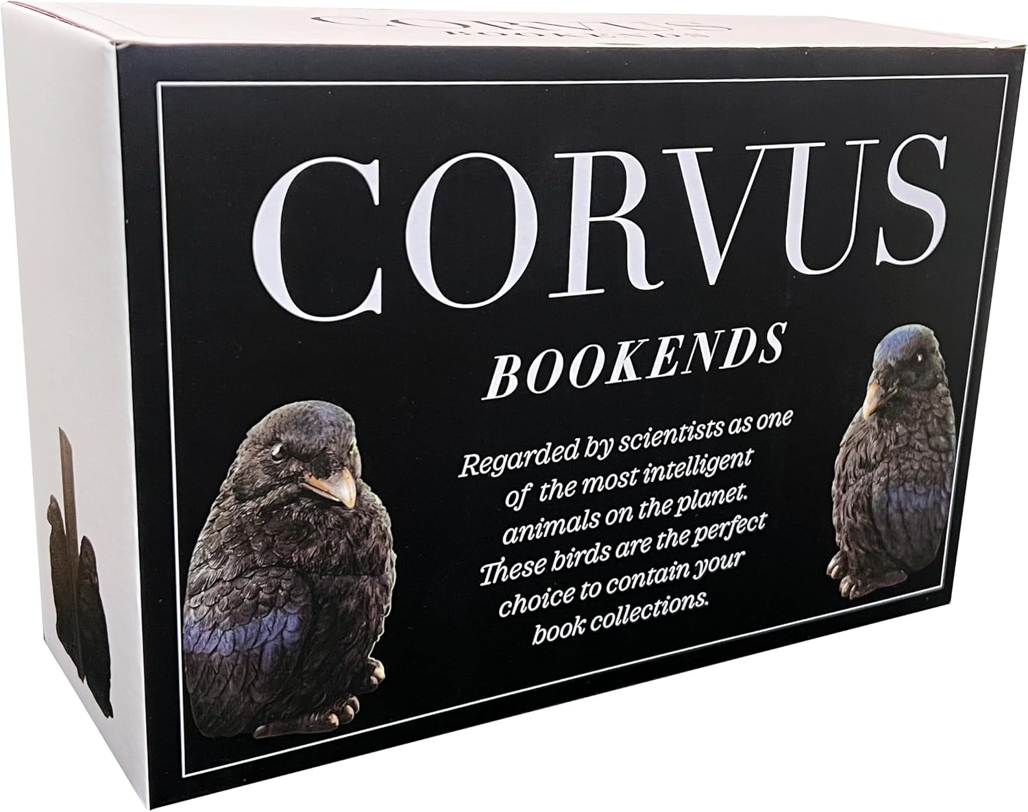 Raven Bookends Decor