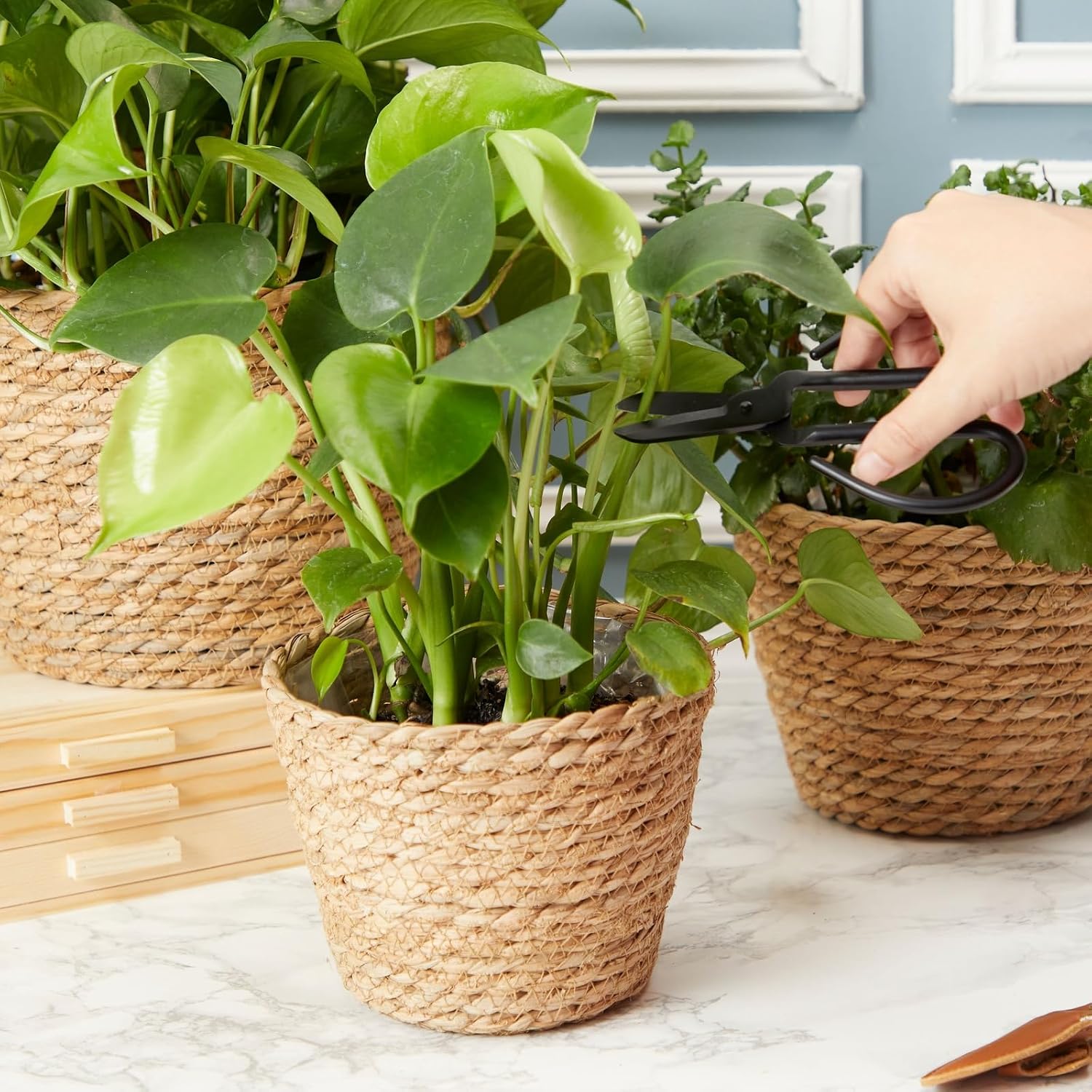 Seagrass Indoor Planter Set