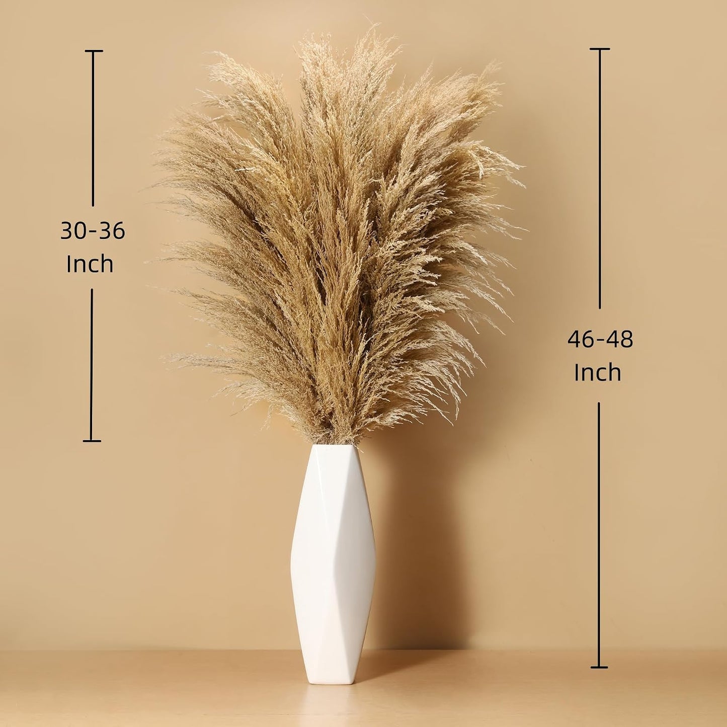 Large Pampas Grass for Floor Vase / /48inch / 4 ft / Set of 9