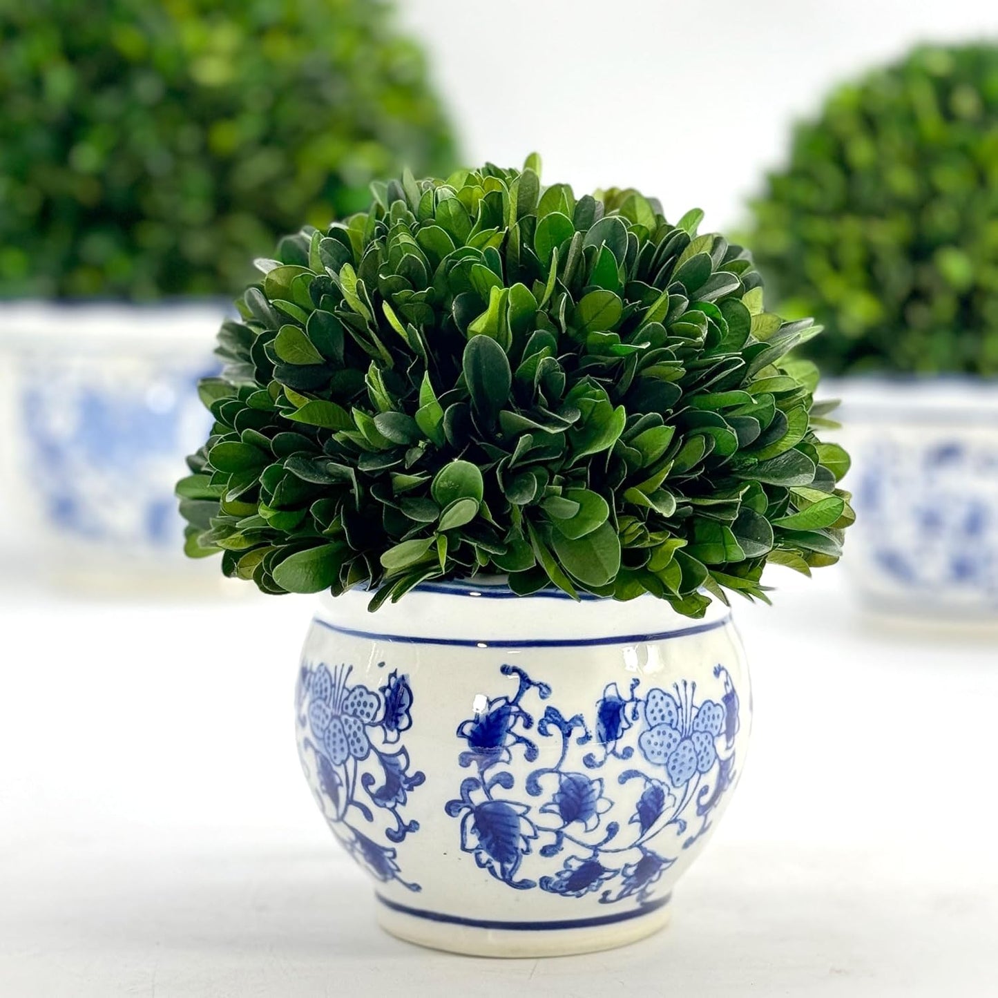 7" Naturally Preserved Real Boxwood Ball in Hand-Painted & White Round / Small 7" Round Pot / Blue