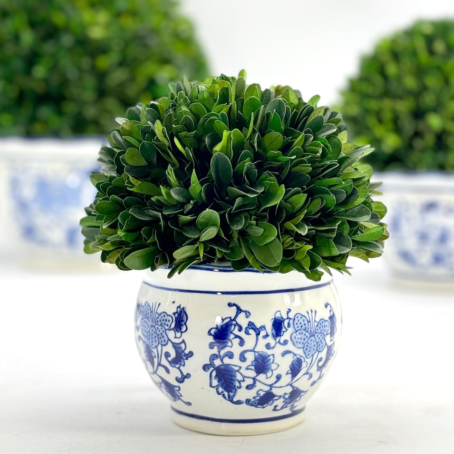 7" Naturally Preserved Real Boxwood Ball in Hand-Painted & White Round / Small 7" Round Pot / Blue