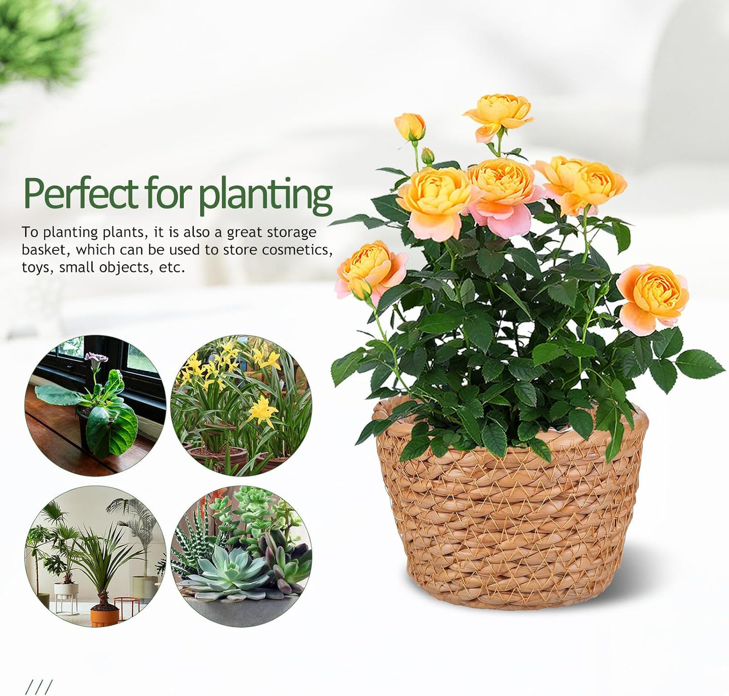 Hand-Woven Seagrass Plant Basket Planter / Set of 2