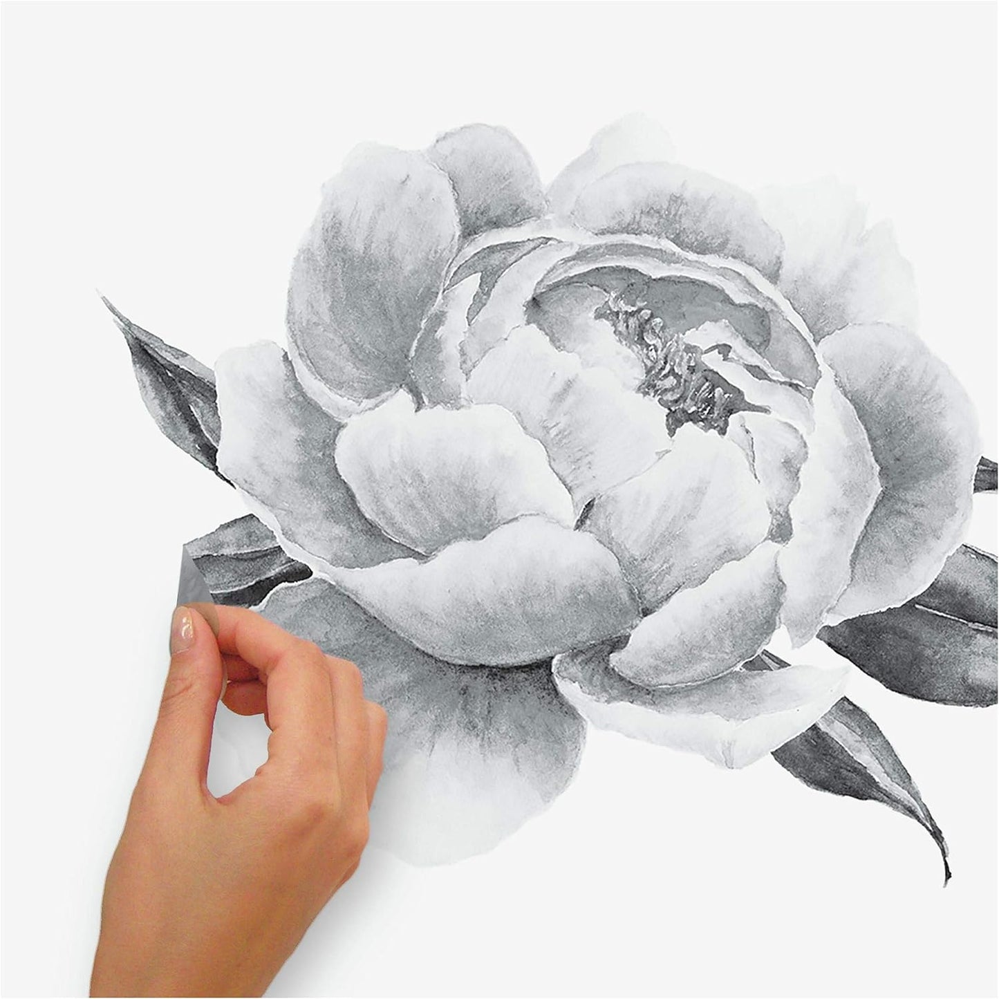 RMK4413GM and White Peonies Giant Floral Peel and Stick Wall Decals / Black