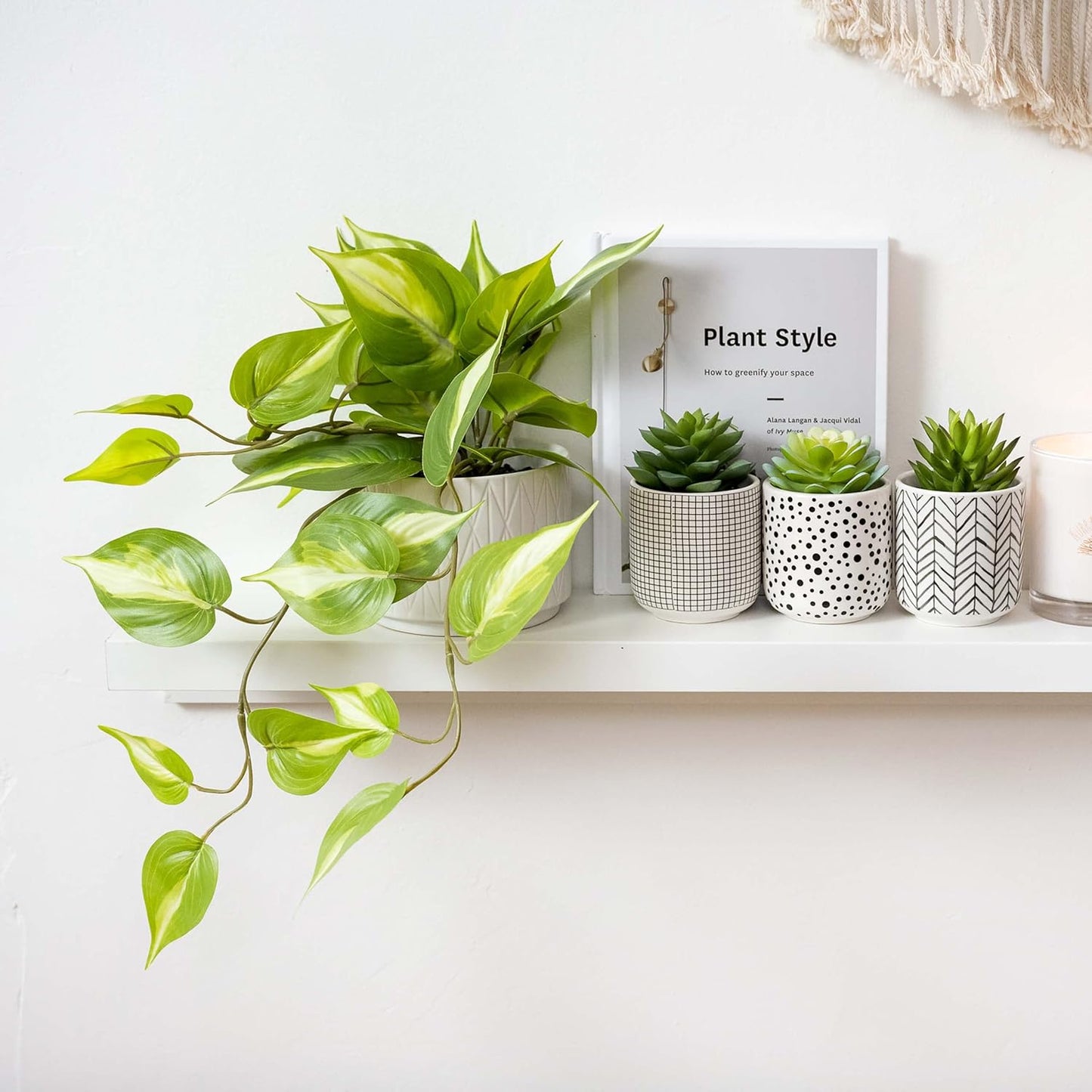 Faux Plants / Artificial Succulents in pots / Black / Set of 3