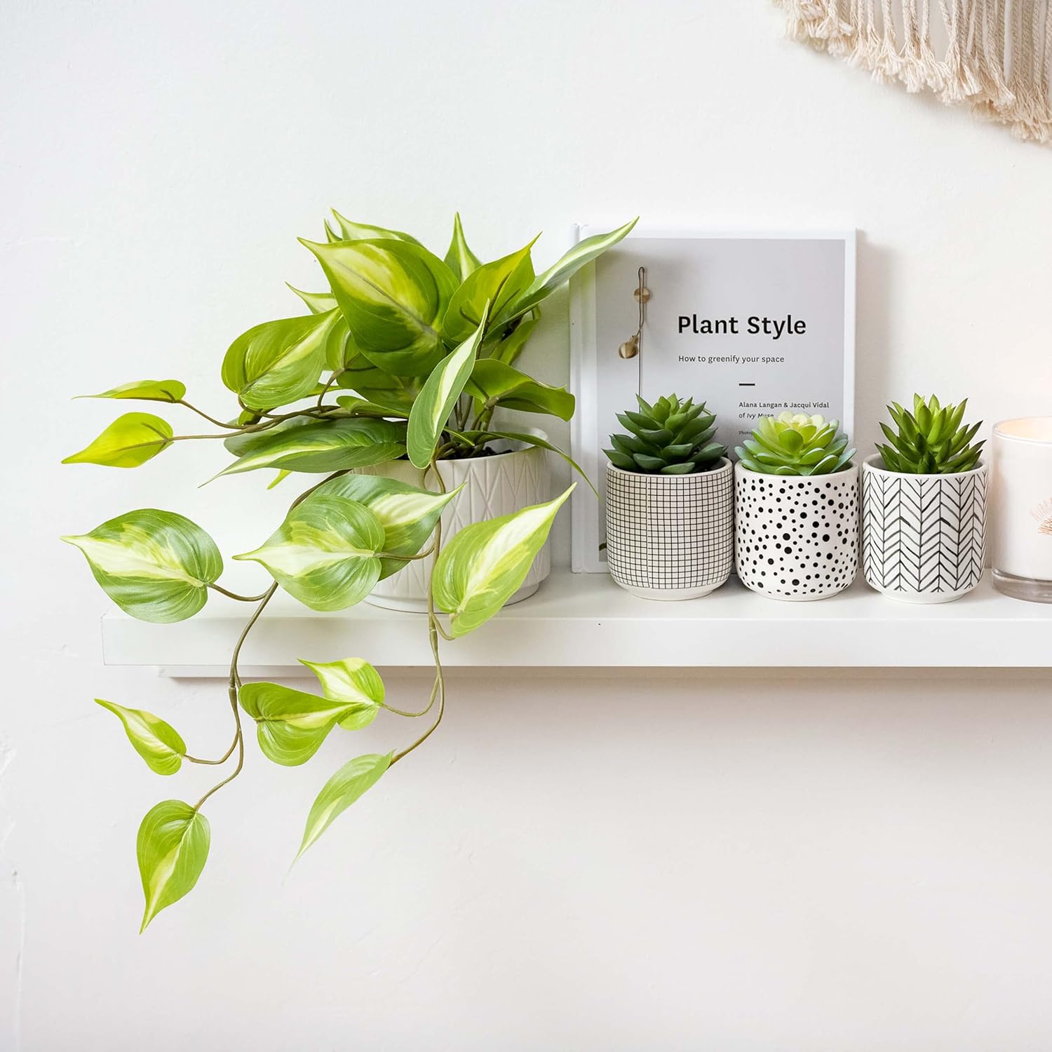 Faux Plants / Artificial Succulents in pots / Black / Set of 3