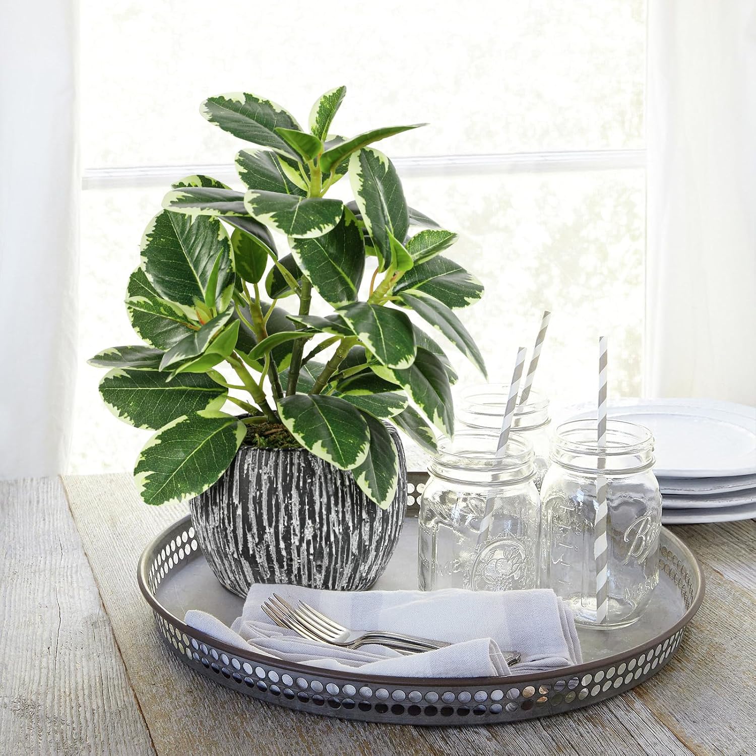 Faux Variegated Oak Leaf Plant / Green#02