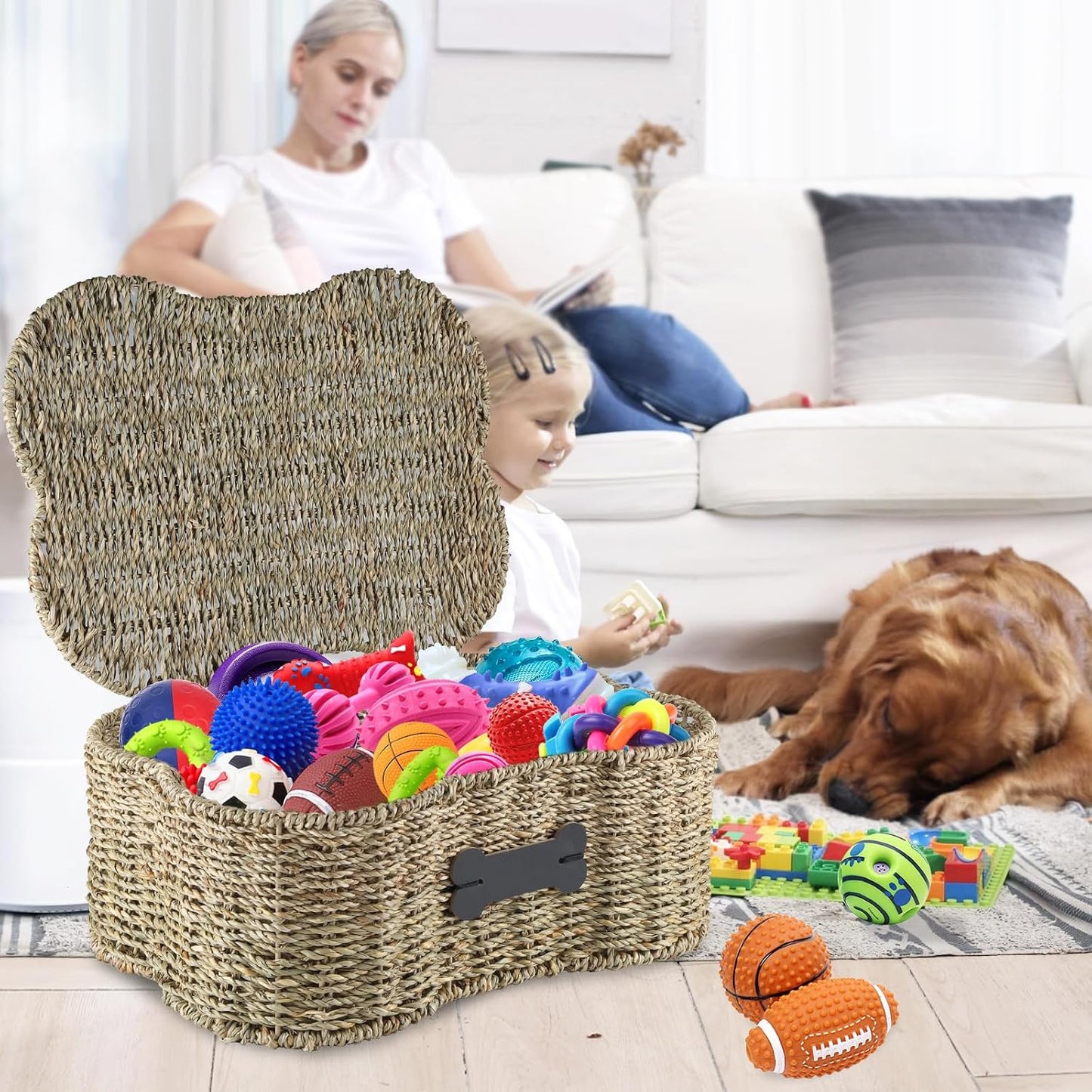 Seagrass Wicker Baskets for Dog Toys / with Lid