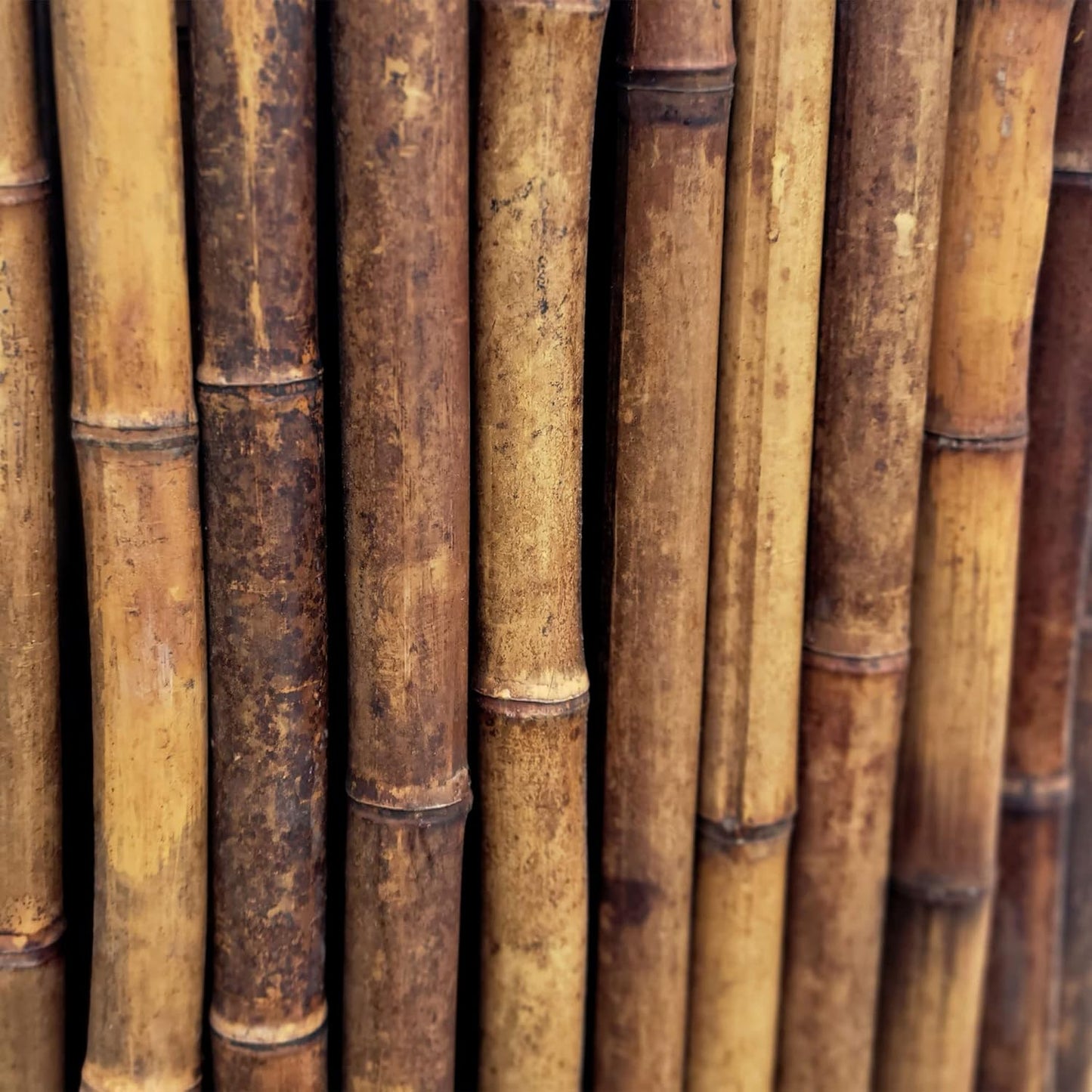 Bamboo Fencing Panel Roll / Caramel Brown / 0.75 In D x 72 In H x 96 In L