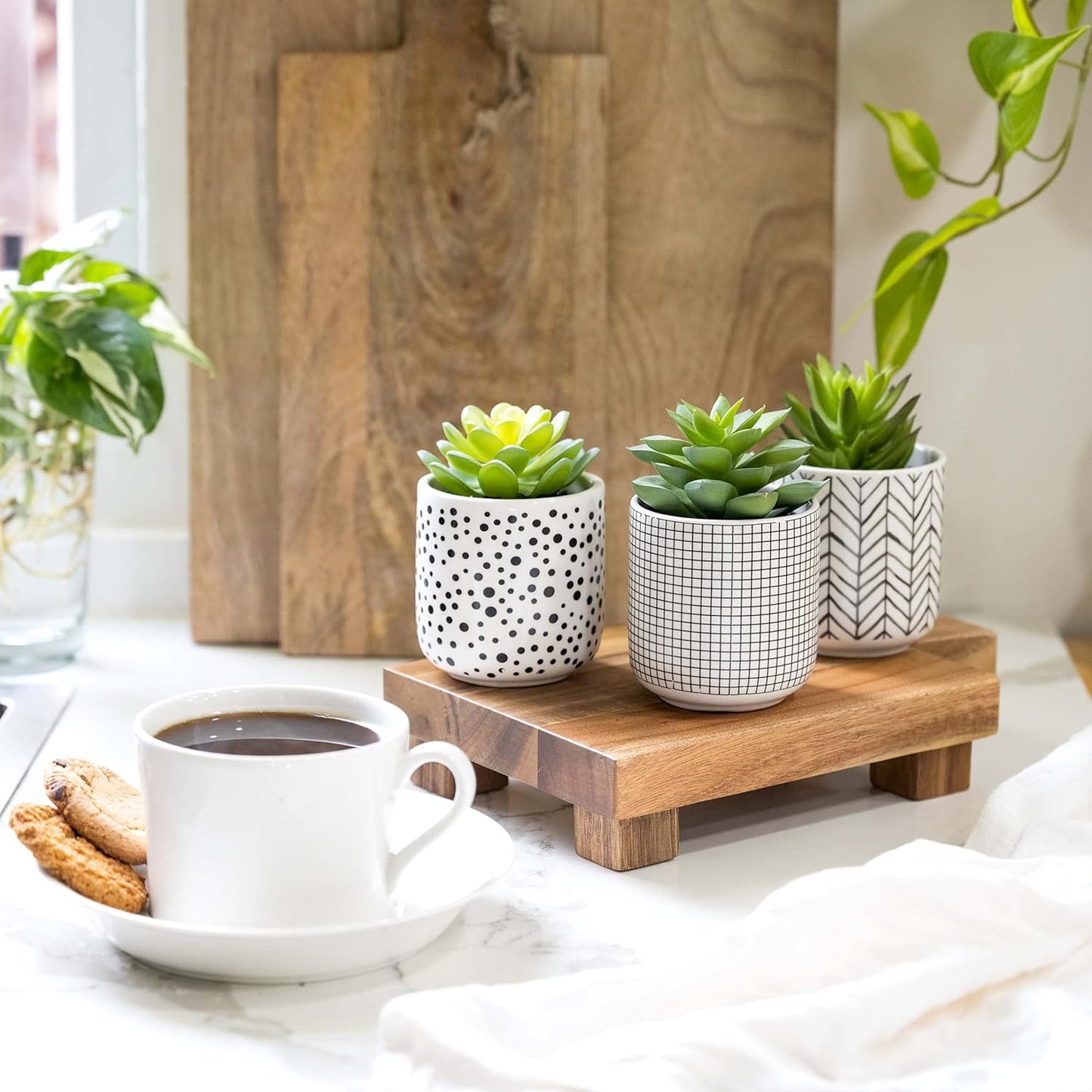 Faux Plants / Artificial Succulents in pots / Black / Set of 3