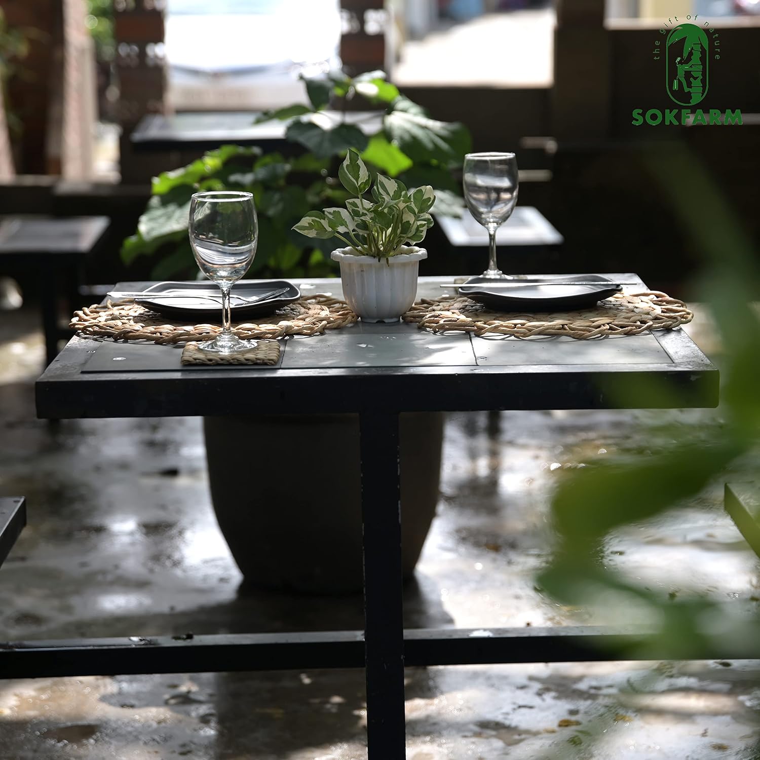 Round Woven Placemats Set of 6, Water Hyacinth Rattan Placemats for Round Table, Plate Chargers for Dinner Plates