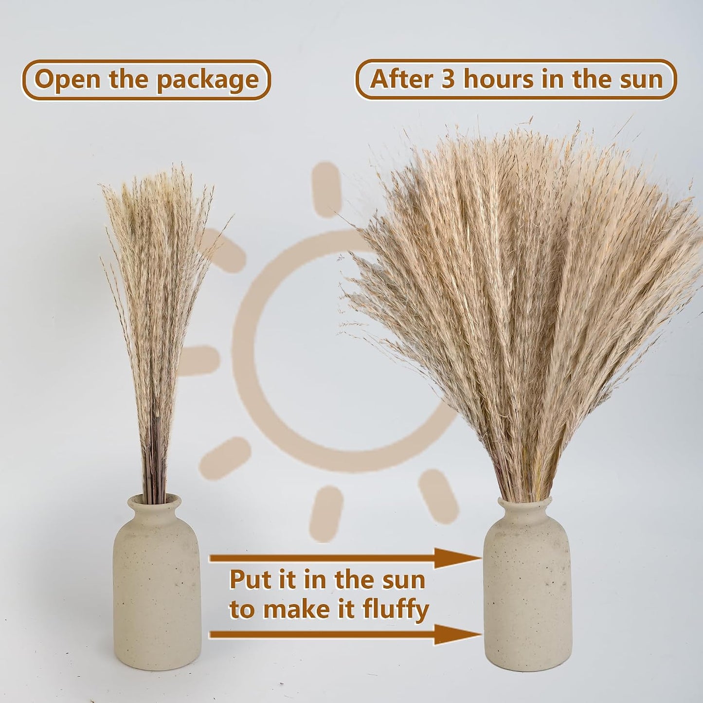 Dried Flower Bouquets / Set of 300
