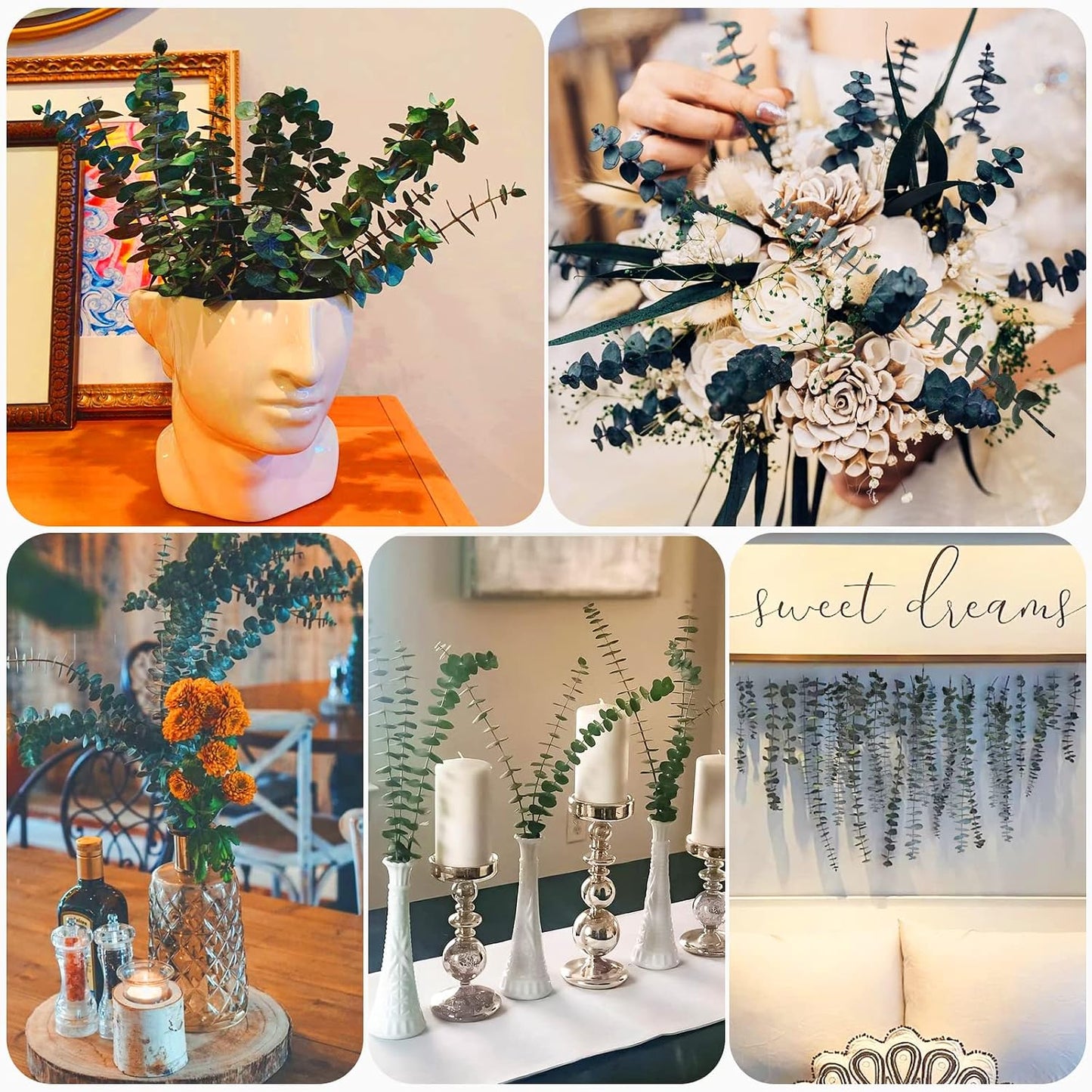 Preserved-Dried-Eucalyptus-Branches / Green / Set of 16