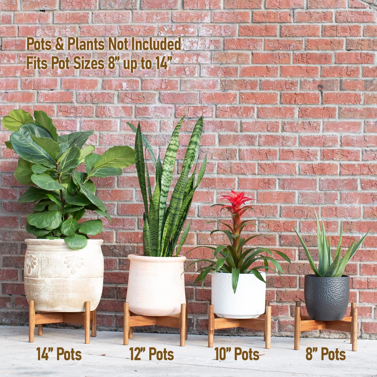 Macaw on Kapok Wood Plant Stand - Fits 8 10 12 to 14 inch Plant Pot - Acacia Solid Wood - Planter Stands for Indoor