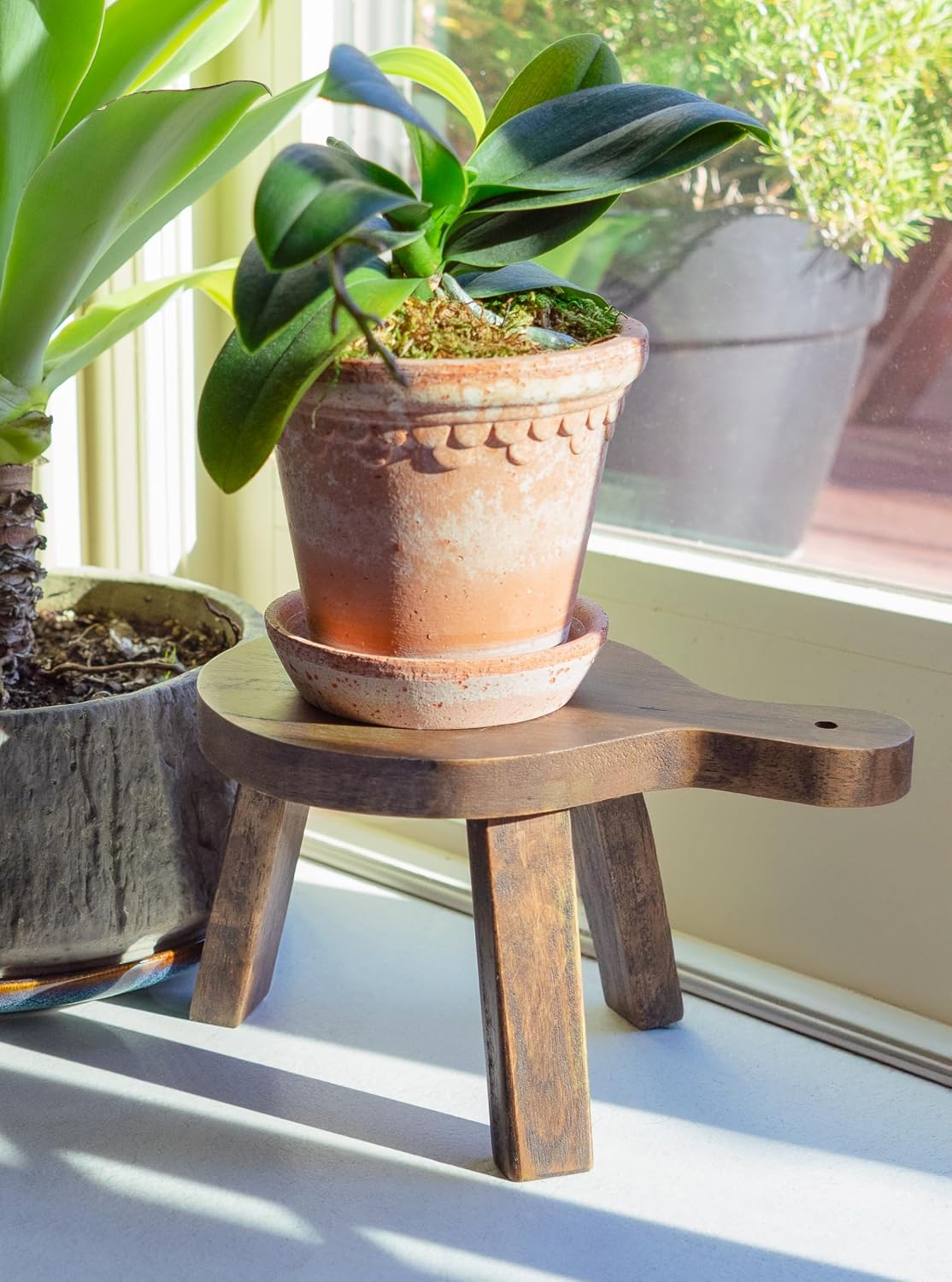 Tall Mini Round Boho Chic Tabletop Sustainable Rubberwood Stool Display Stand / 6 Inch