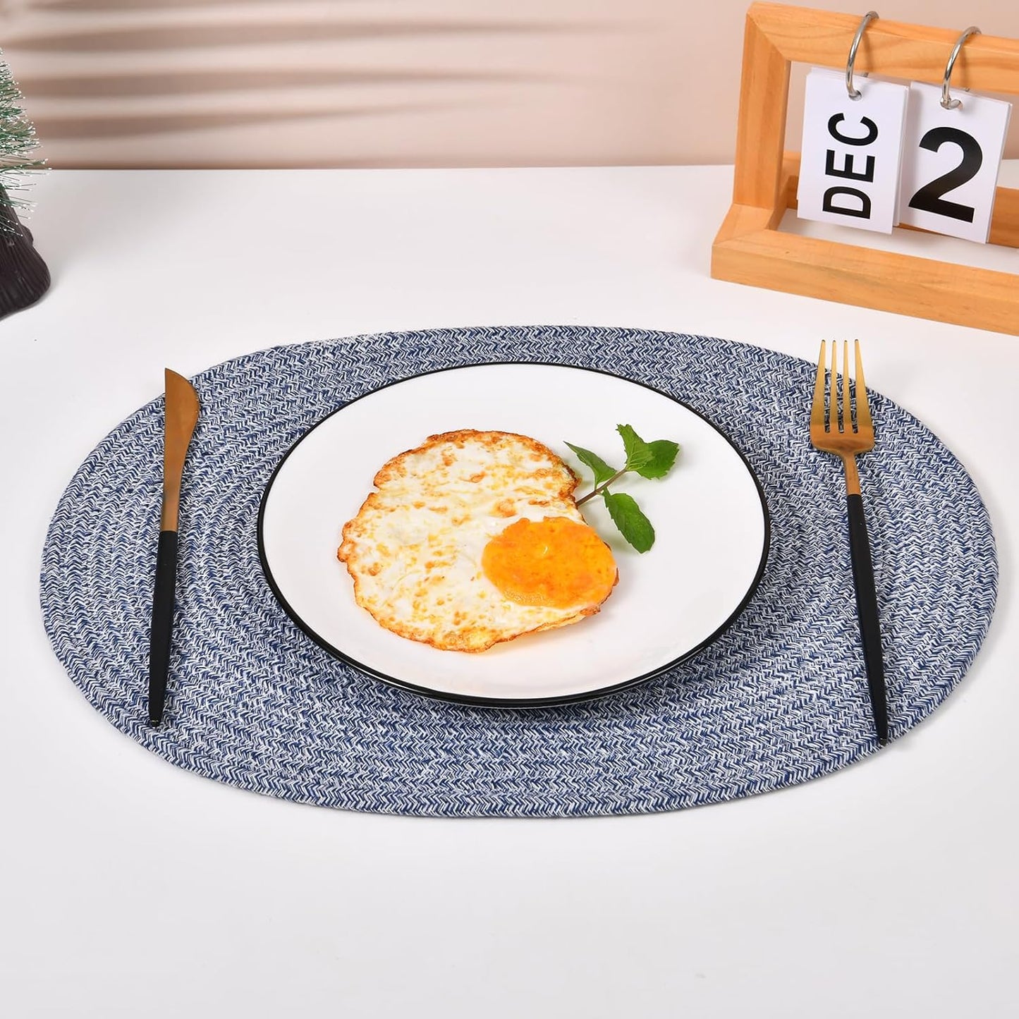 6 Pack Oval Woven Placemats, 12x16 inches Mix Rainbow Oval Plate Charger Cotton Heat Resistant Non-Slip Weave Place