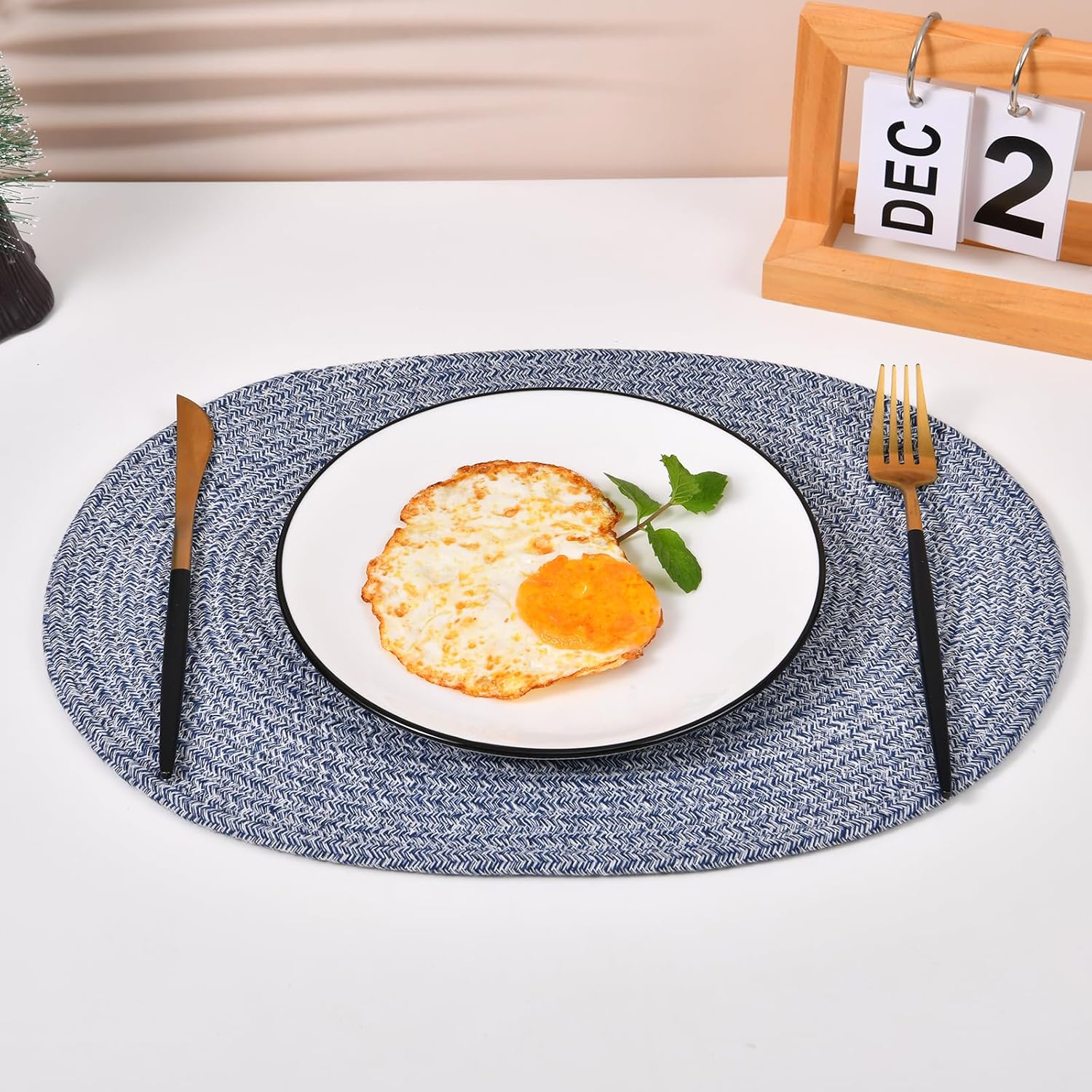 6 Pack Oval Woven Placemats, 12x16 inches Mix Rainbow Oval Plate Charger Cotton Heat Resistant Non-Slip Weave Place