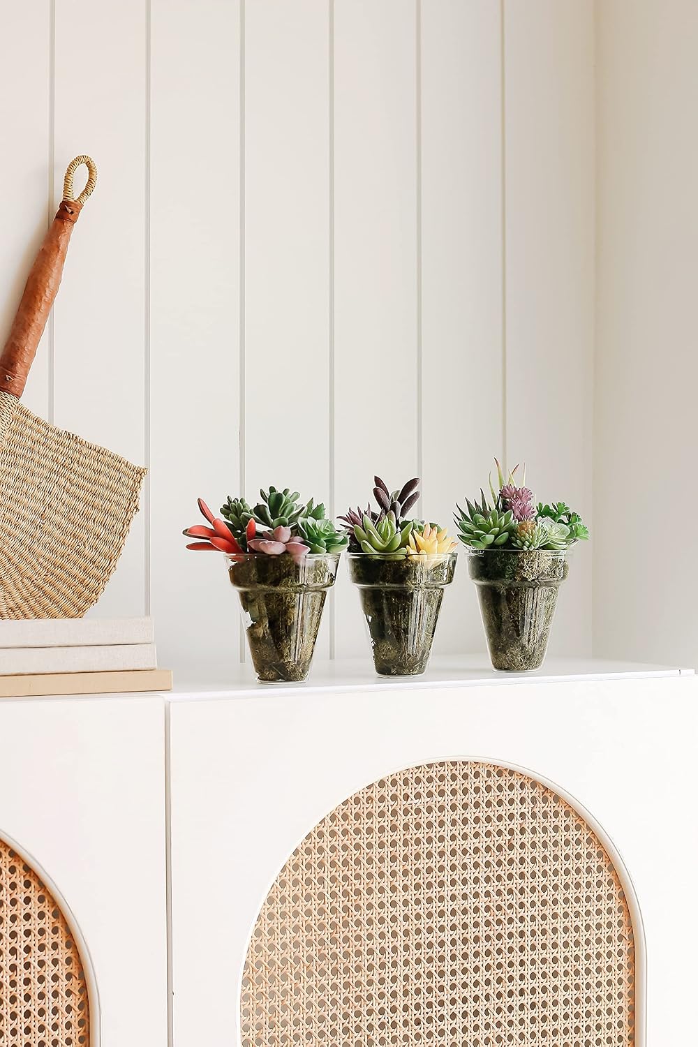 Artificial Succulent Plants / Set of 18