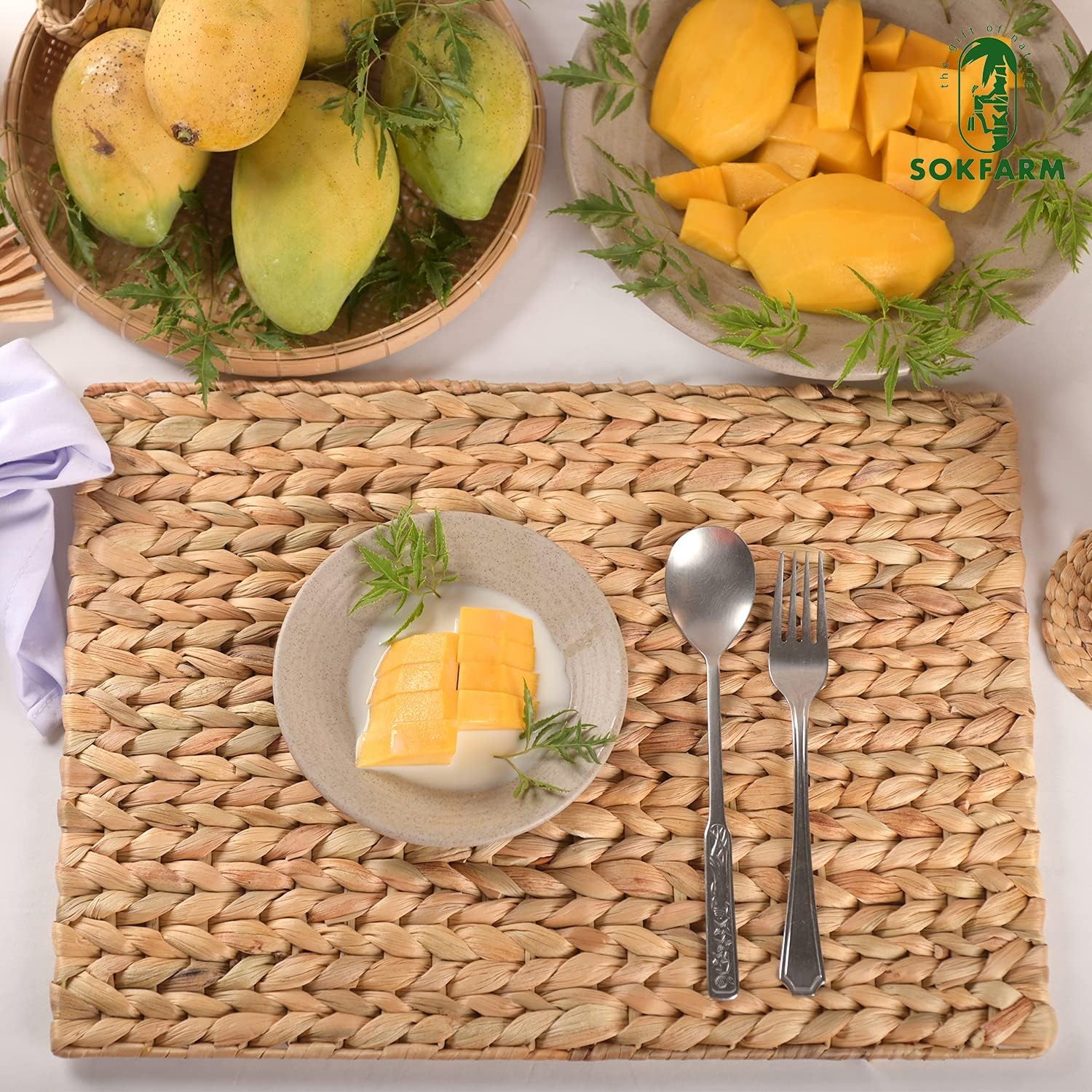 Water Hyacinth Rectangular Placemats Set of 8, Woven Rattan Placemats for Dining Table, Heat Resistant Wicker Table