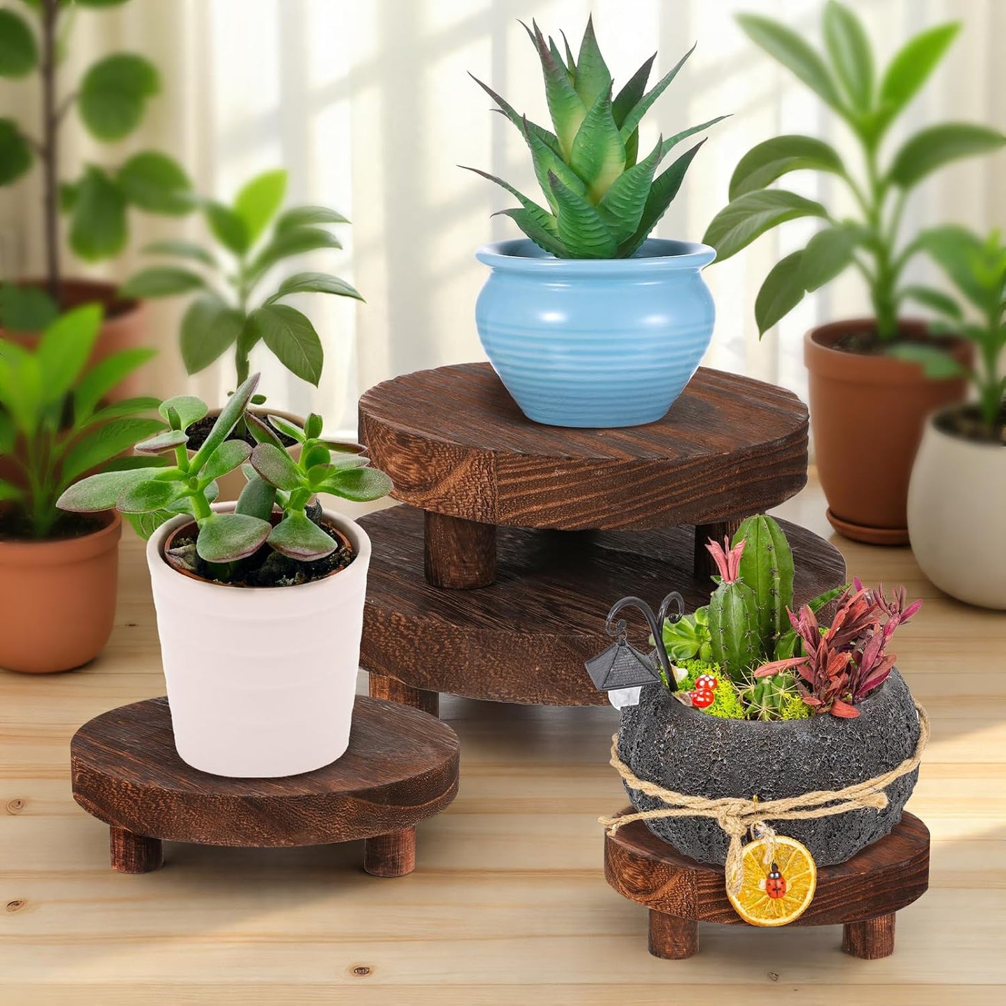 Round Wood Risers Display Stands Wooden Risers / Set of 4