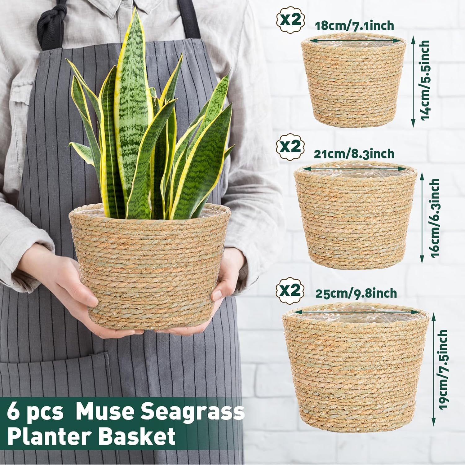 Seagrass Planter Basket Flower Pots Cover Plant Baskets Hand Woven Plant Basket / Classic / Set of 6