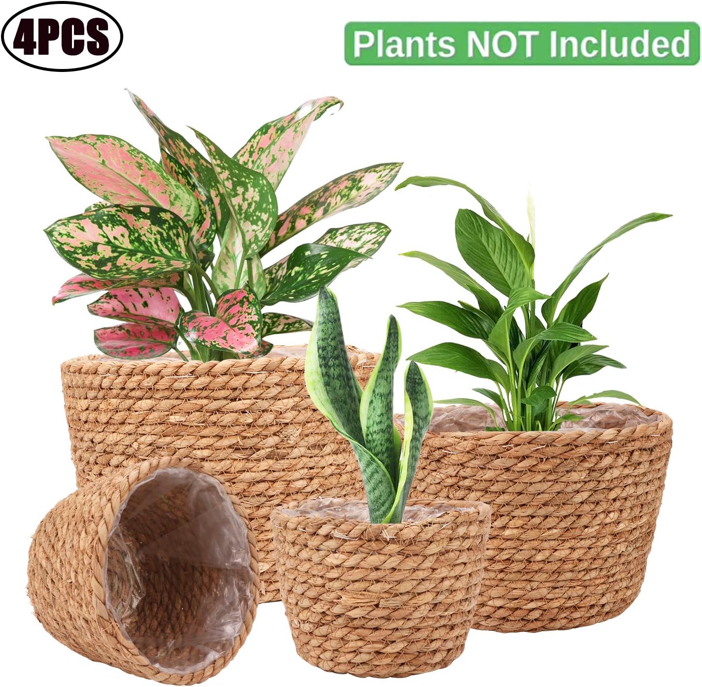 Seagrass Planter Basket Stylish Planter Baskets