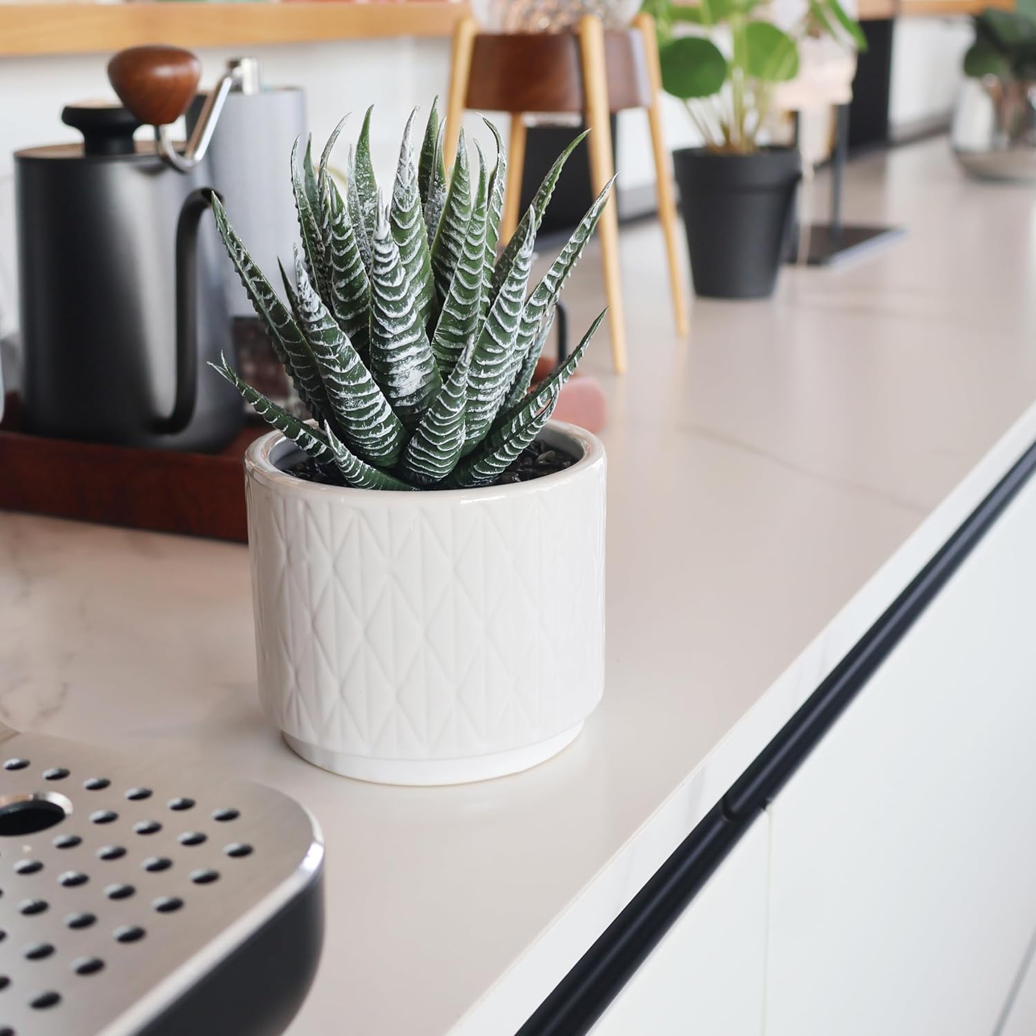 6.7'' High Faux Plants Indoor / Natural Green Succulent In White Ceramic Pot