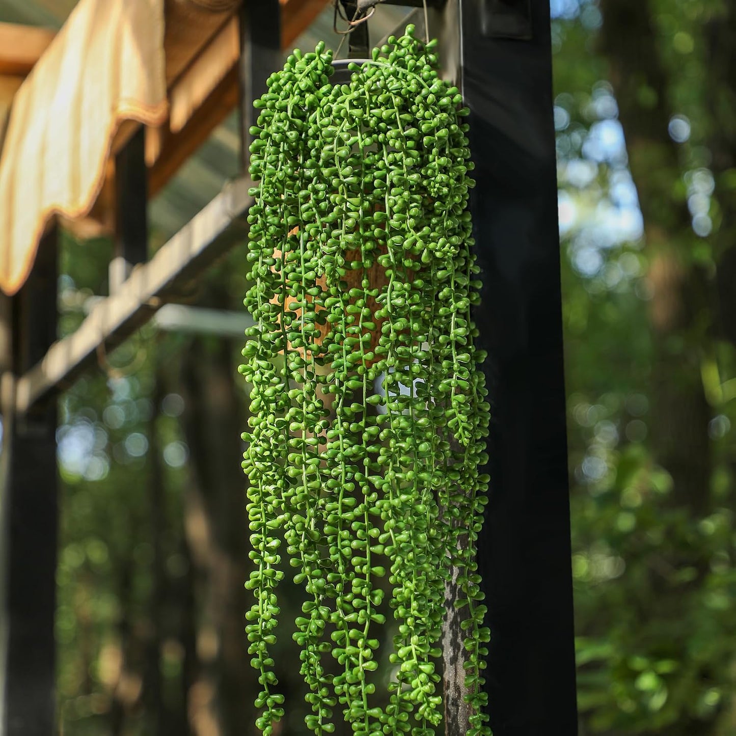Artificial Succulents Hanging Plants / Green / 27.5 Inch / Set of 3