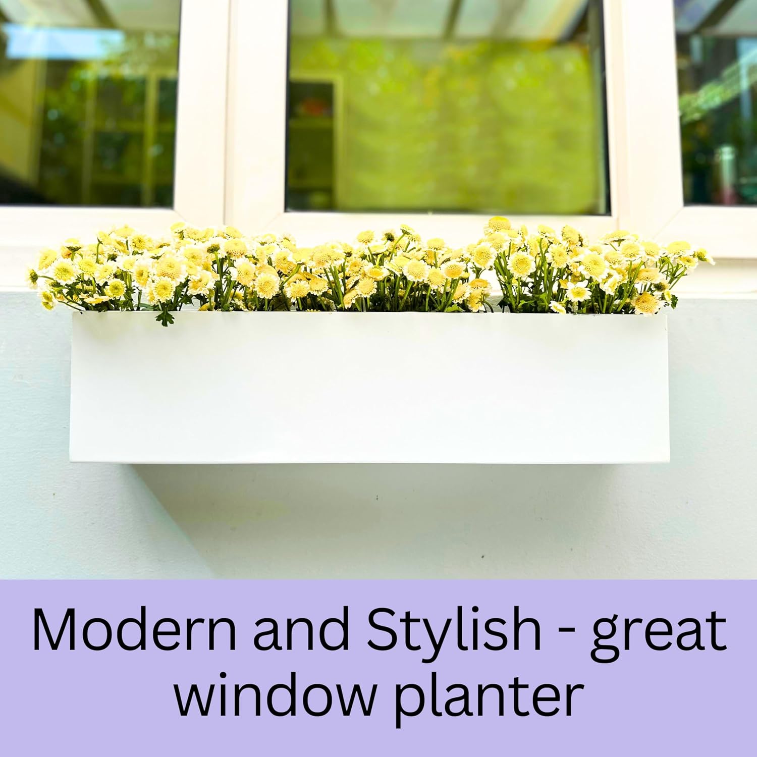 LaLaGreen Wall Planter Carbon Steel Metal Hanging Flower Pot / 24 x 2 / 24" x / White / Set of 2