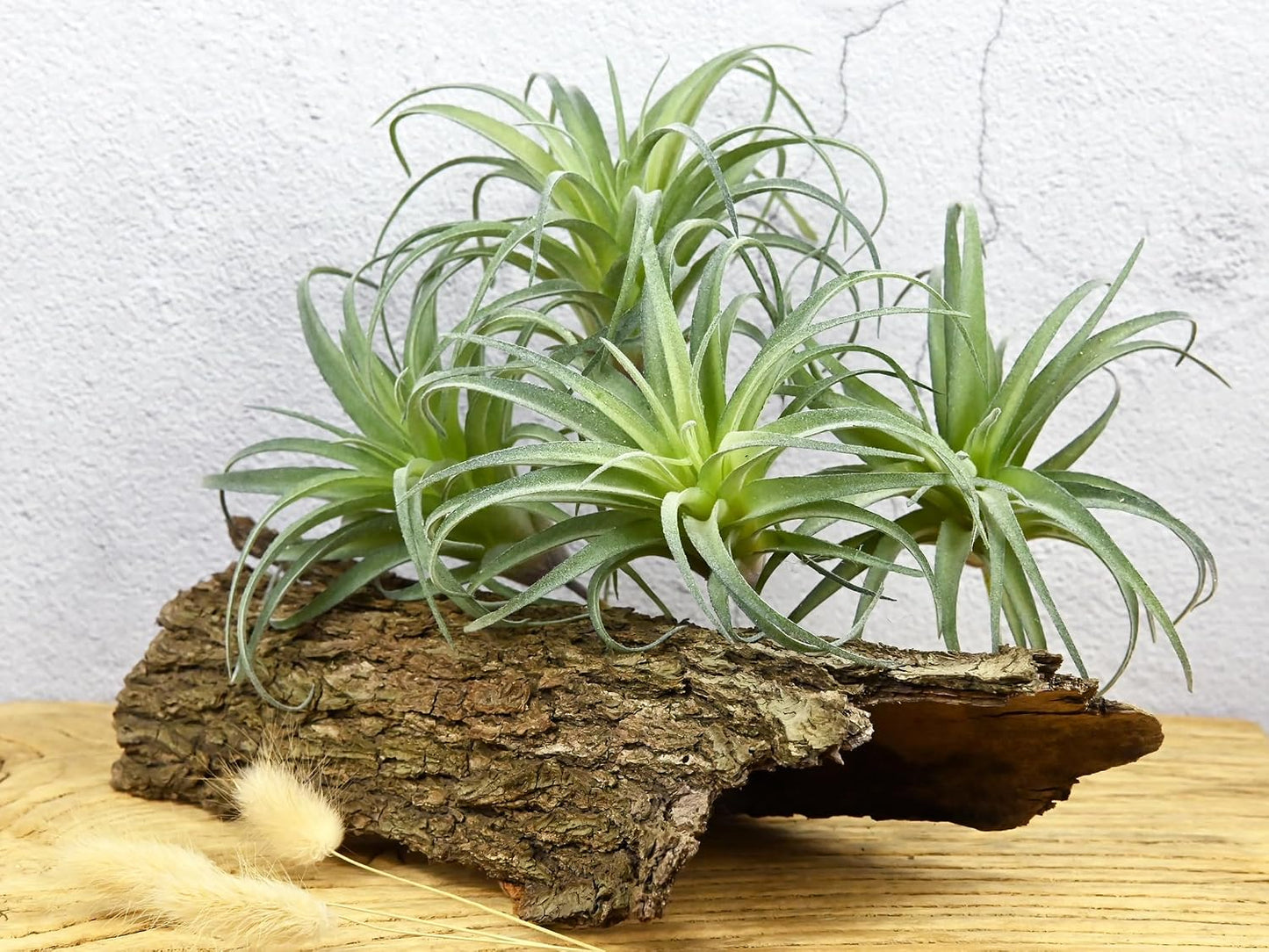 Fake Artificial Tillandsia Air Plants / Green / Set of 4