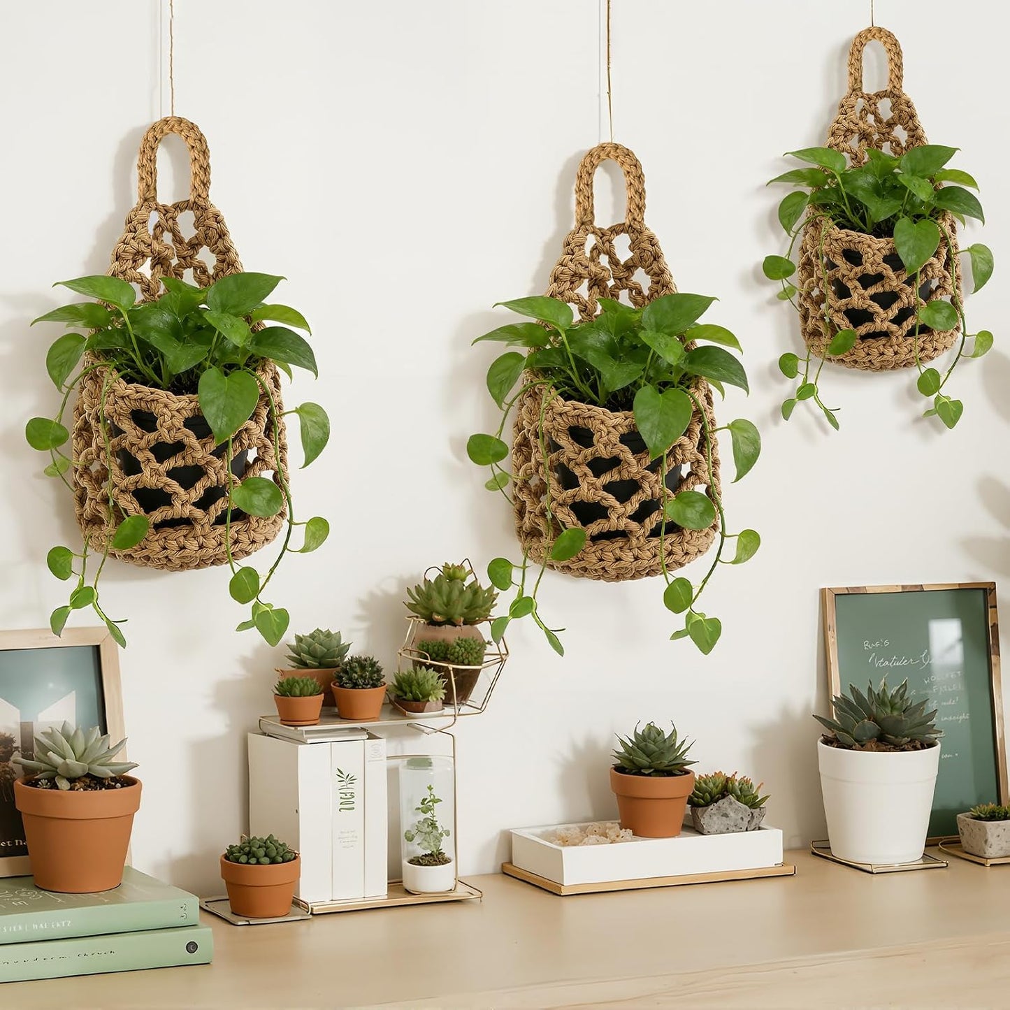 Plants and Pots / Linen Color / 4 x 8
