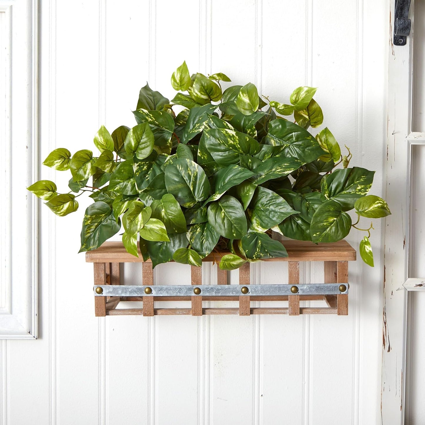 . Pothos Ledge Plant Silk Plant / Green / 15 Inch
