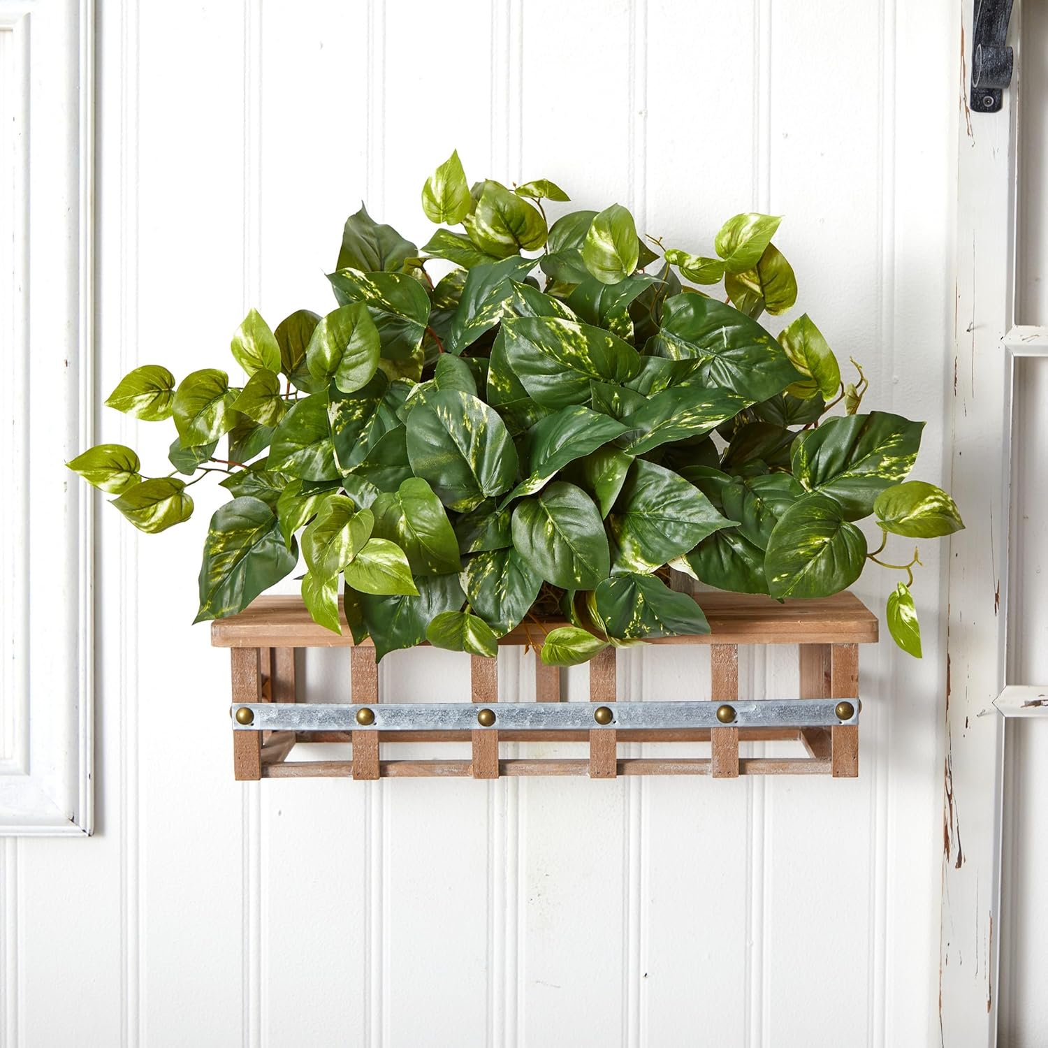 . Pothos Ledge Plant Silk Plant / Green / 15 Inch