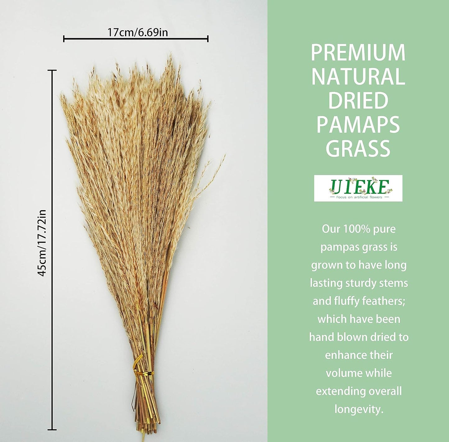 Plume Tall Dried Flowers Large Faux Reed / Dried Pampas Grass / Natural / 17 Inch / Set of 100