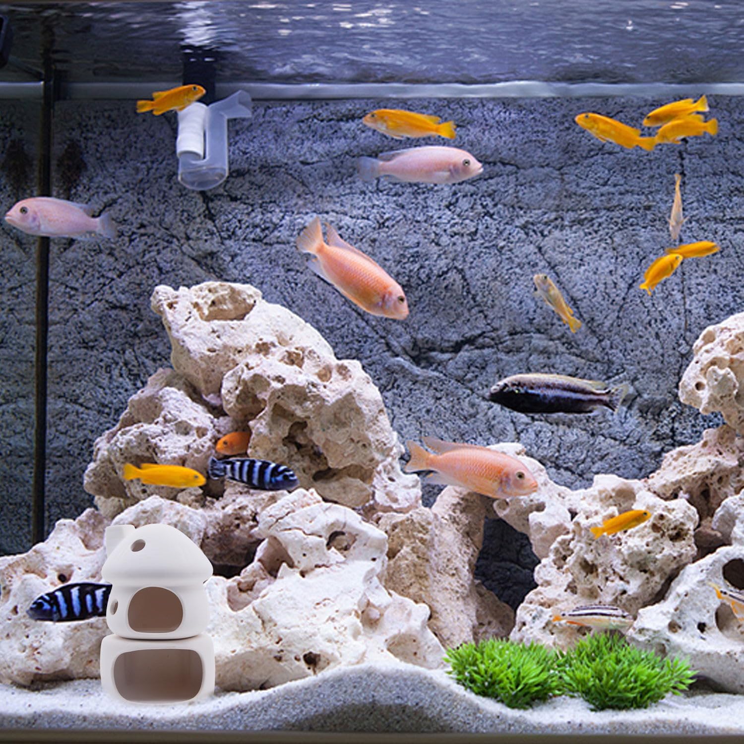 Aquarium Decor Ceramic Mushroom House / White B