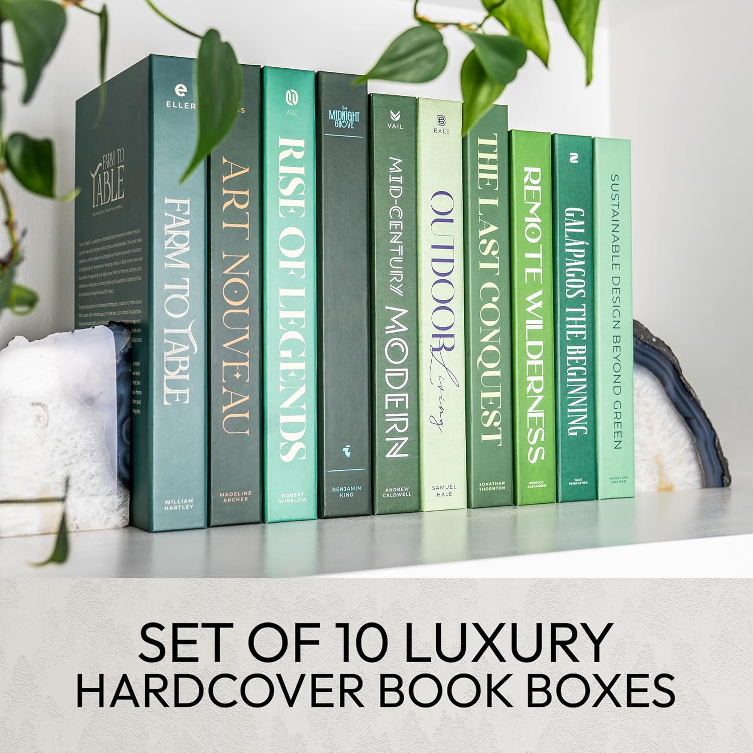 10 Book Set / Green / 10 Books